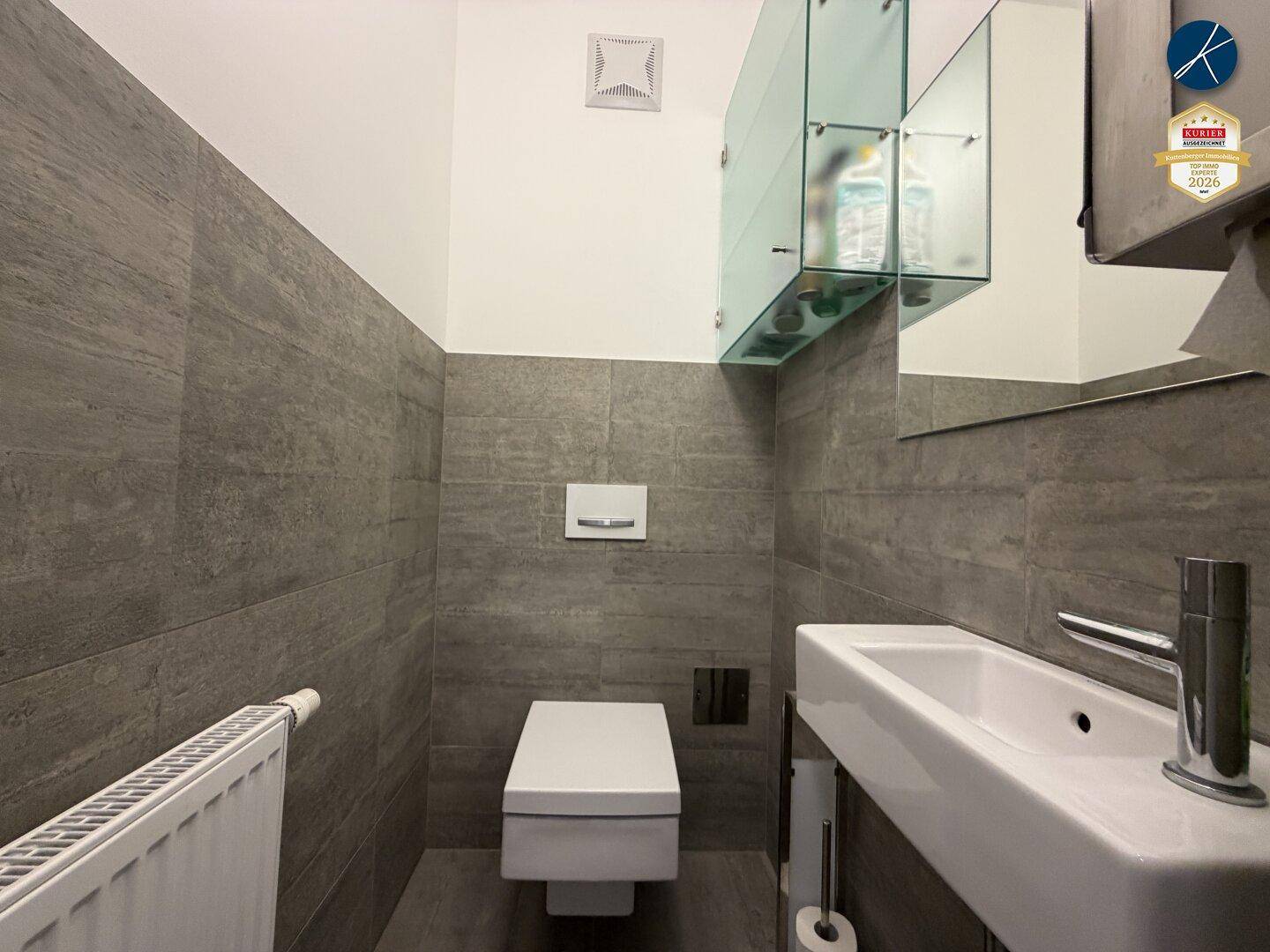 Modernes Gäste-WC mit grauen Fliesen, wandhängender Toilette, Waschbecken und Heizkörper.