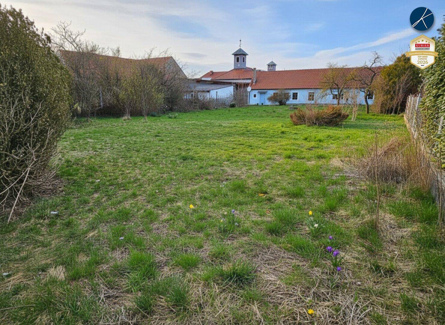 Grüne Wiese mit Frühlingsblumen und dem blauen Haus im Hintergrund unter einem weiten Himmel.