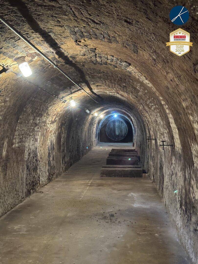 Dunkler, gewölbter Kellergang mit Ziegelwänden und Betonboden, beleuchtet von mehreren Lampen.