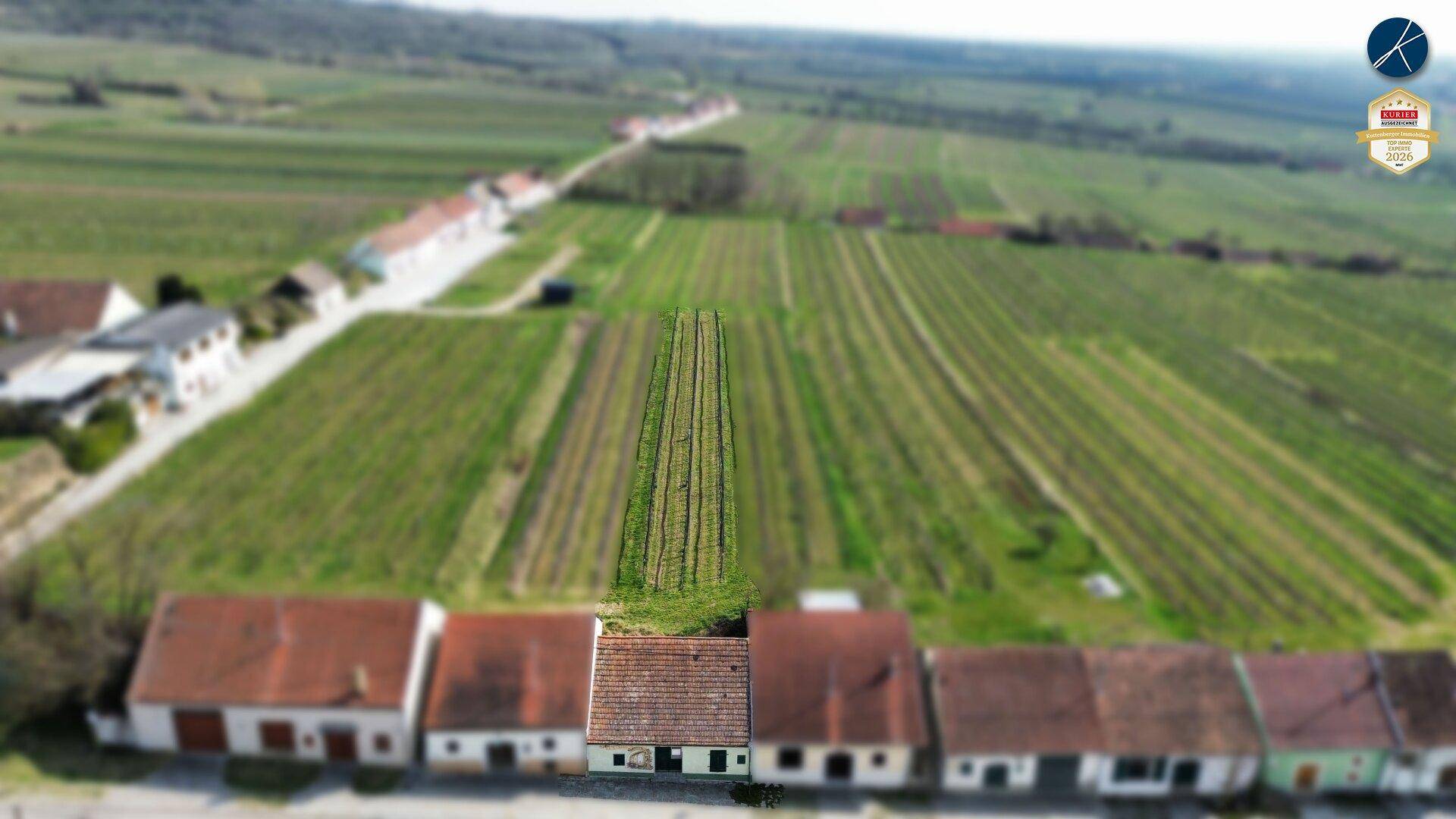 Luftaufnahme einer ländlichen Gegend mit Weinbergen und einer Reihe von Häusern unter blauem Himmel.