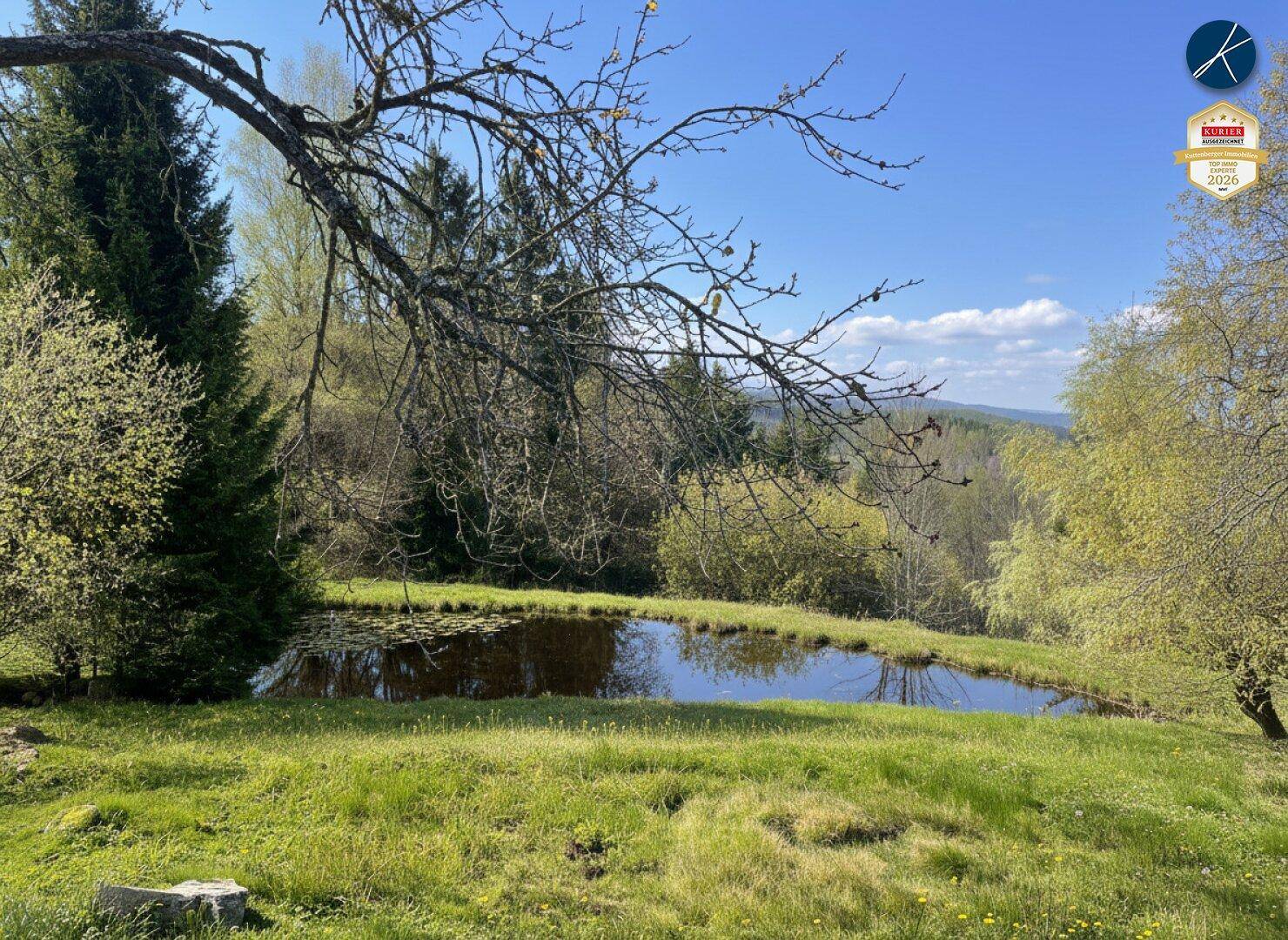 Idyllischer Teich umgeben von grünen Wiesen und Bäumen unter blauem Himmel.