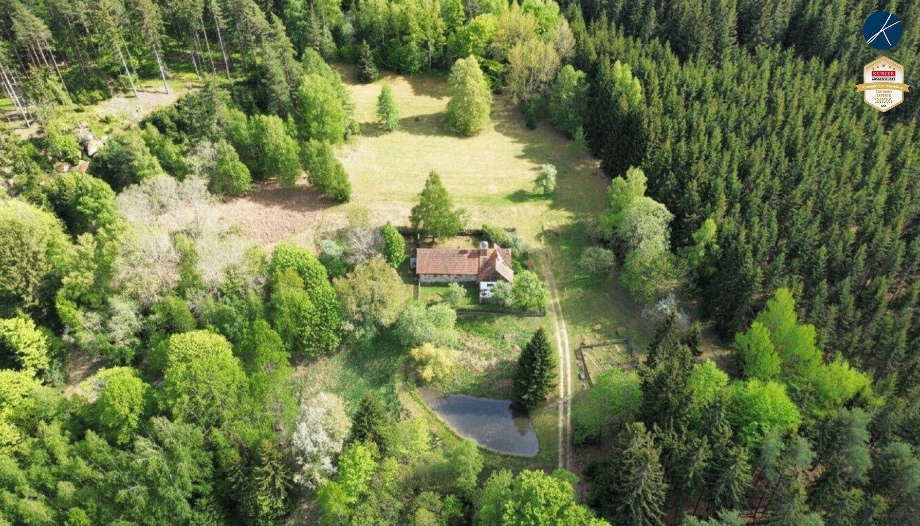 Luftaufnahme des Anwesens, eingebettet in dichte Wälder und grüne Lichtungen mit Teich.