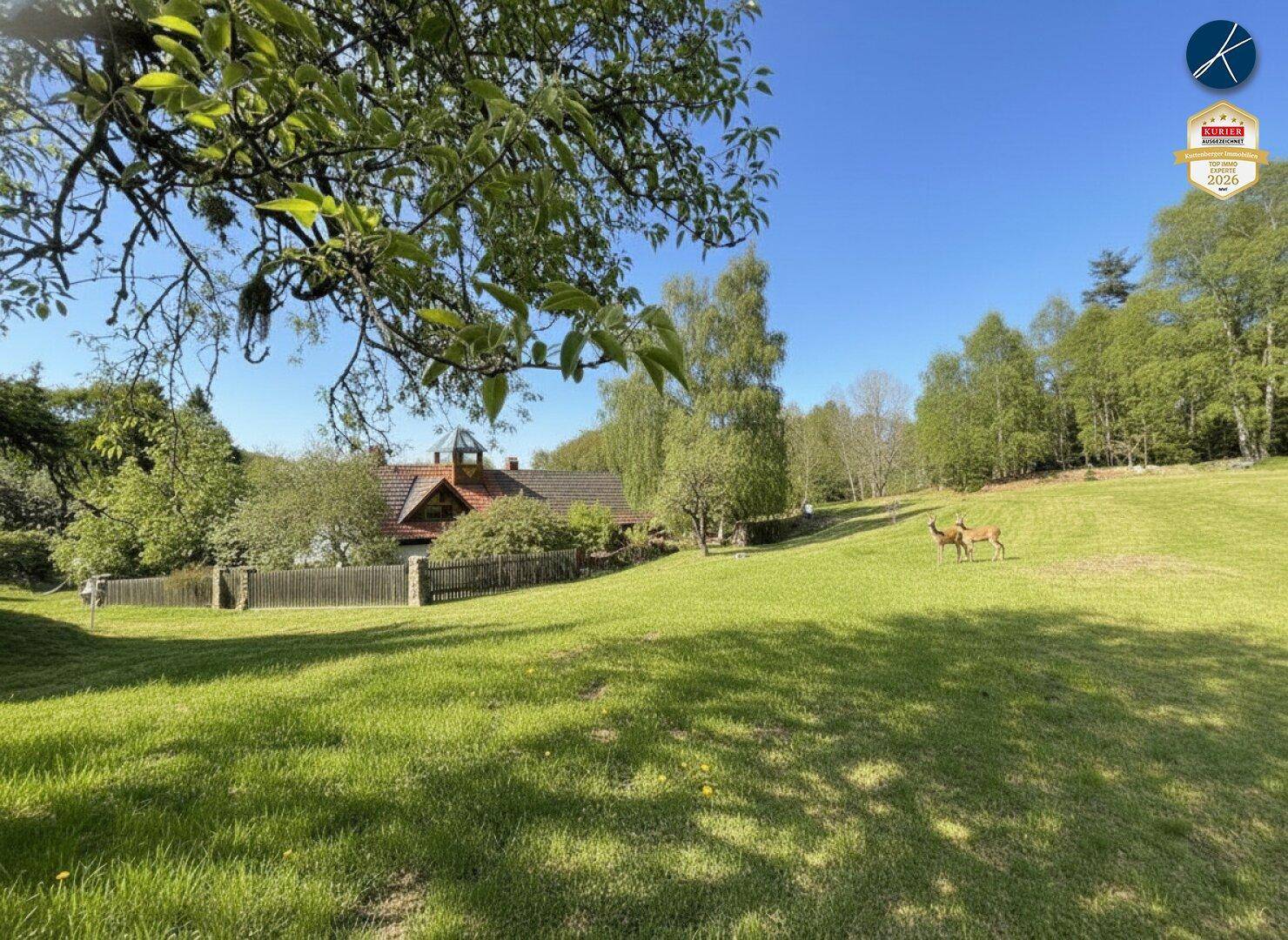Weitläufige grüne Wiese mit Rehen vor dem Landhaus, umgeben von Bäumen und Natur.