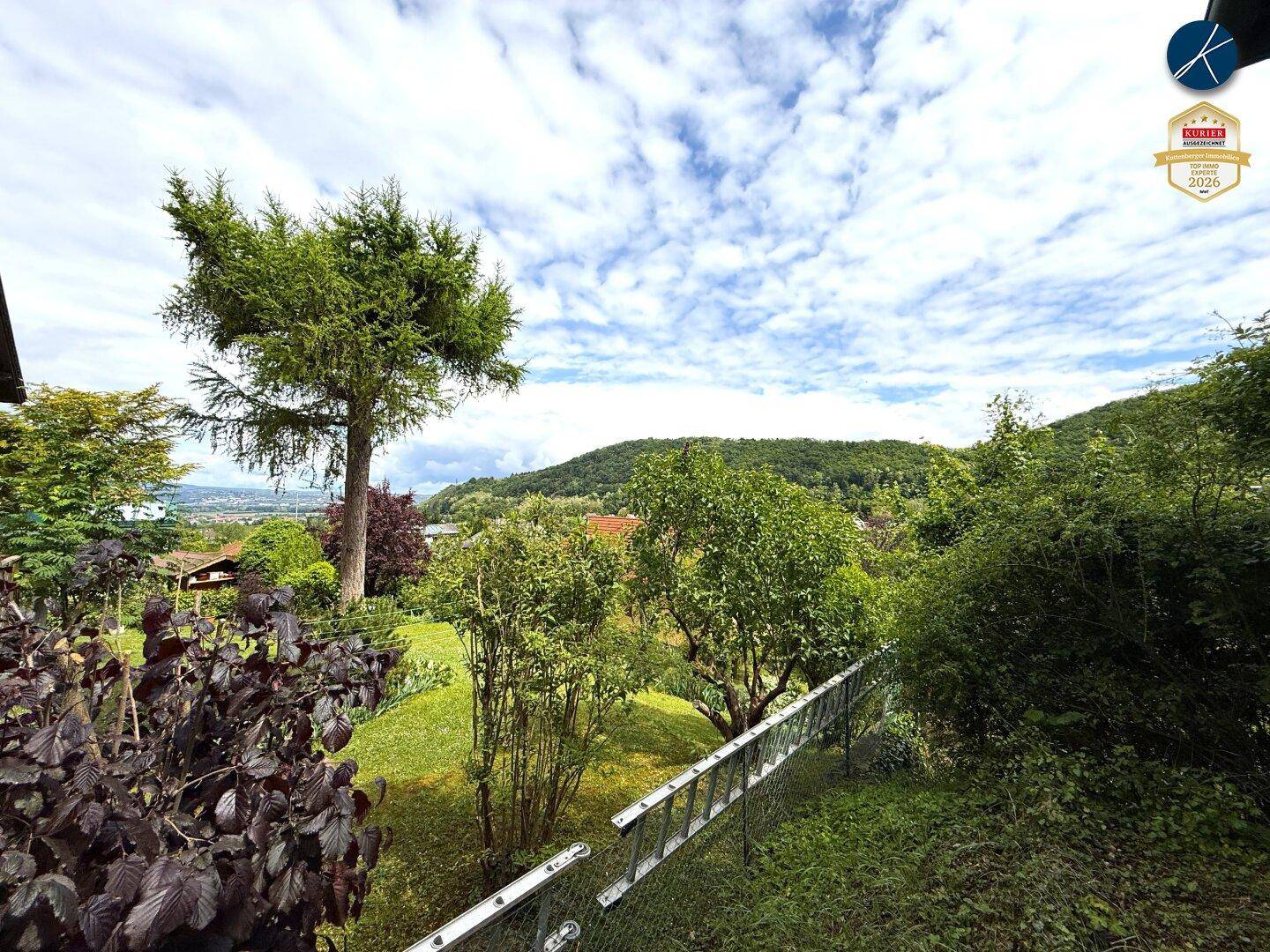 Gepflegter Garten mit hohen Bäumen und einer Leiter, die einen weiten Blick in die Landschaft freigibt.