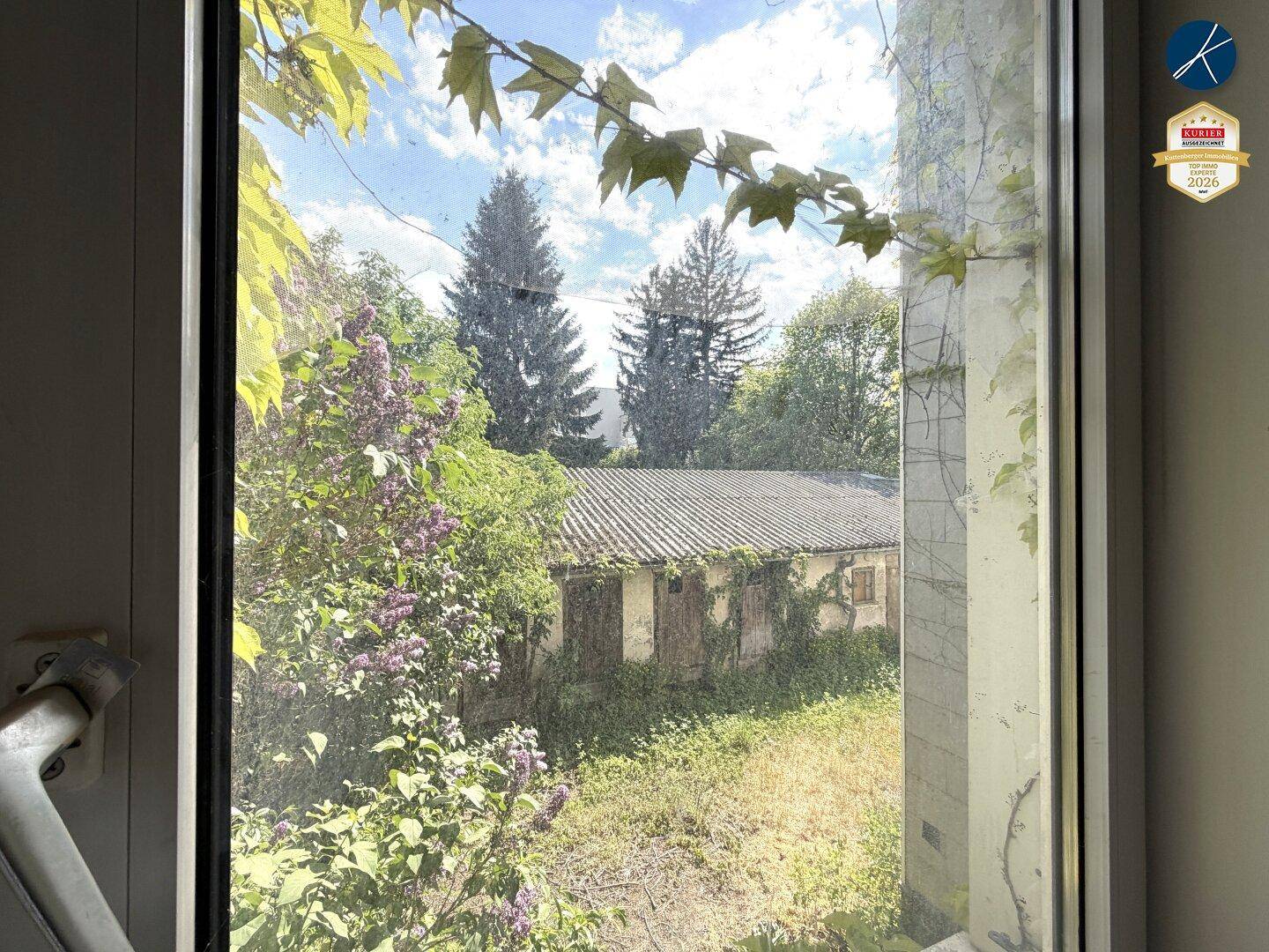 Blick aus dem Fenster auf üppiges Grün, Bäume und ein altes Nebengebäude.