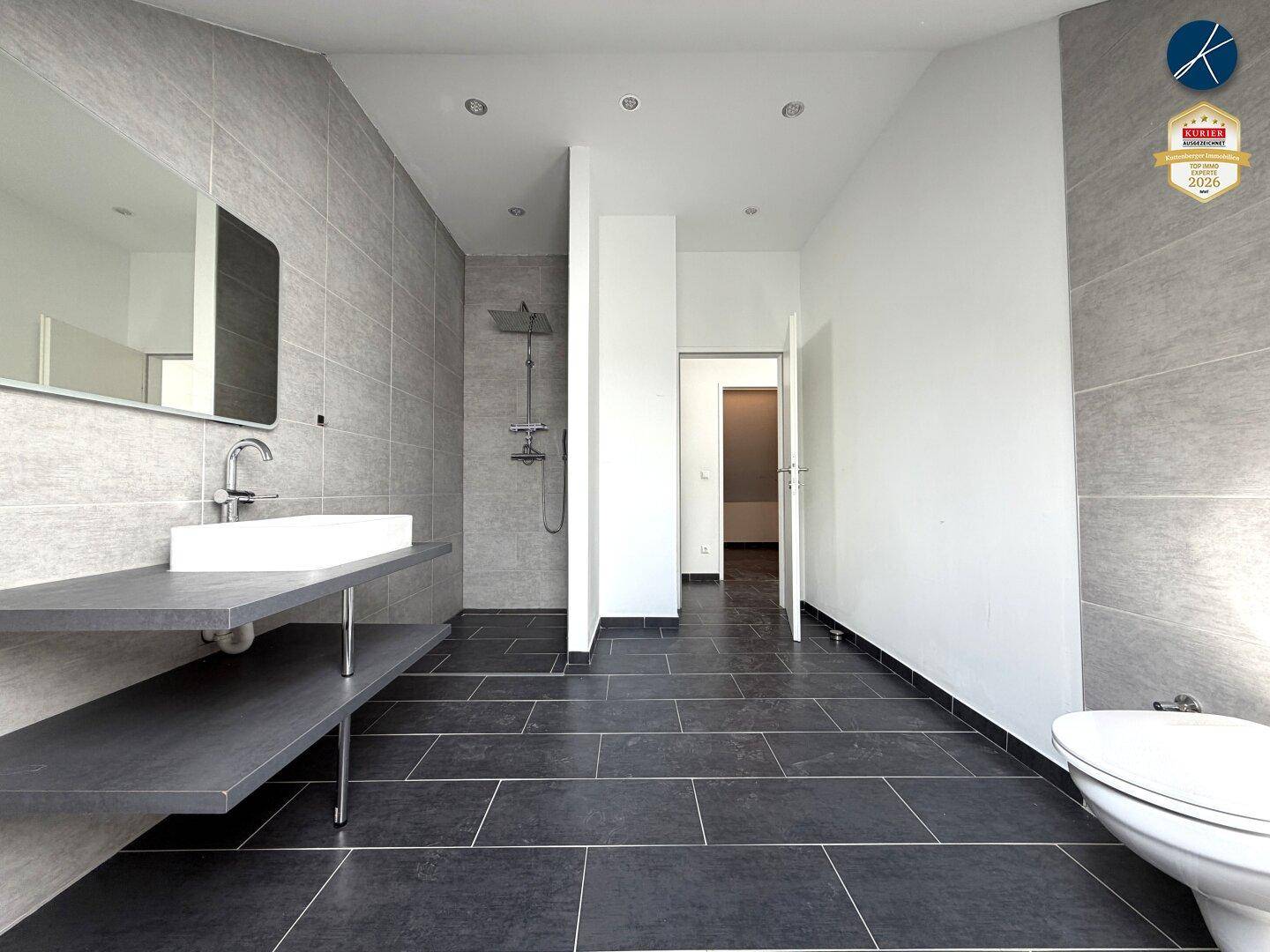 Modernes Badezimmer mit dunklen Fliesen, großem Waschbecken und einer begehbaren Dusche.