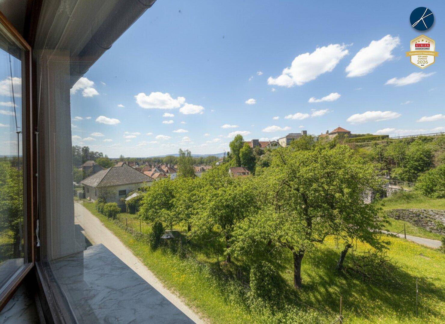 Weitblick aus dem Fenster über grüne Bäume und die umliegende ländliche Bebauung an einem sonnigen Tag.
