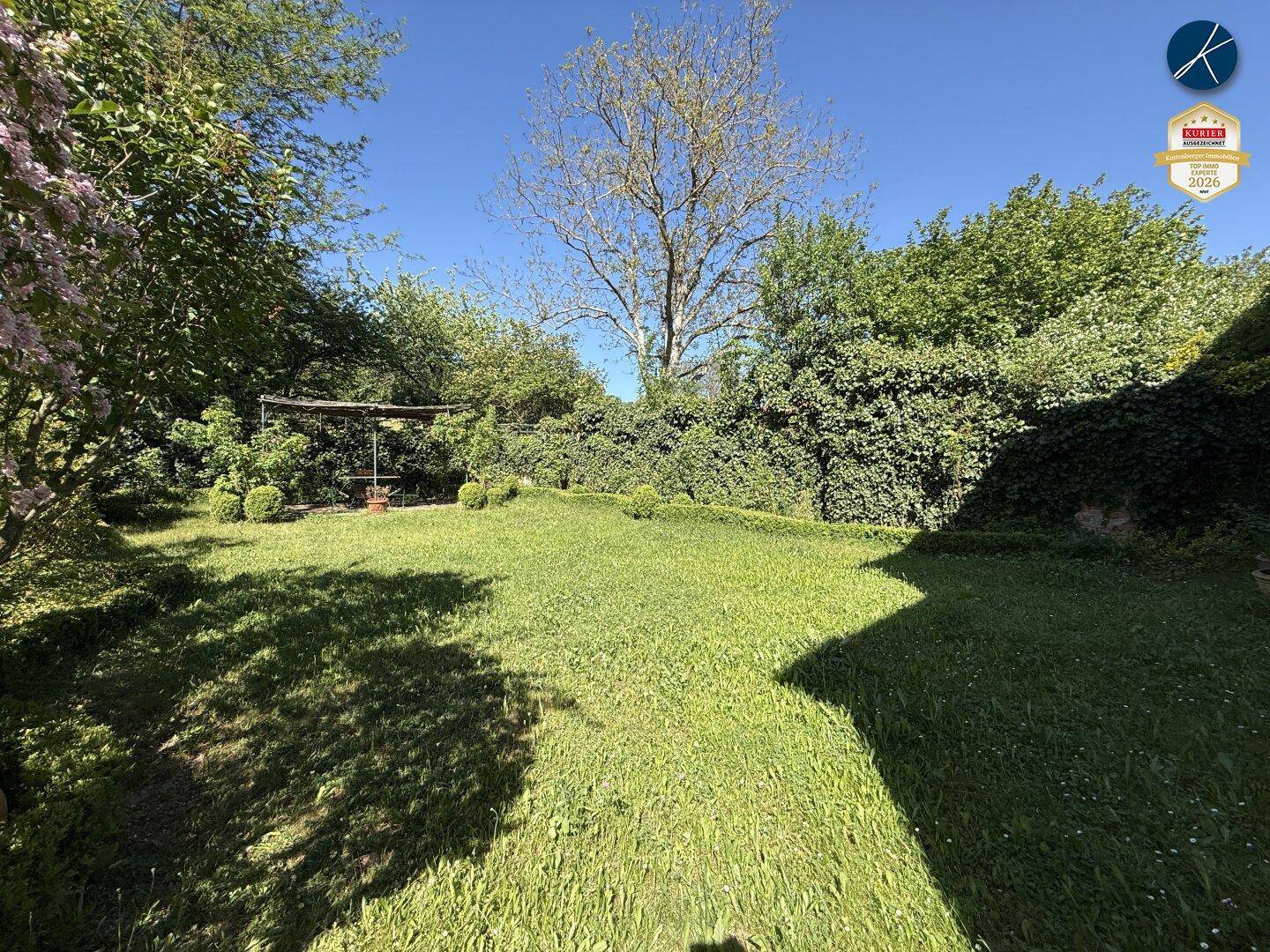 Sonnige Rasenfläche in einem weitläufigen Garten mit üppiger Bepflanzung und hohen Bäumen.