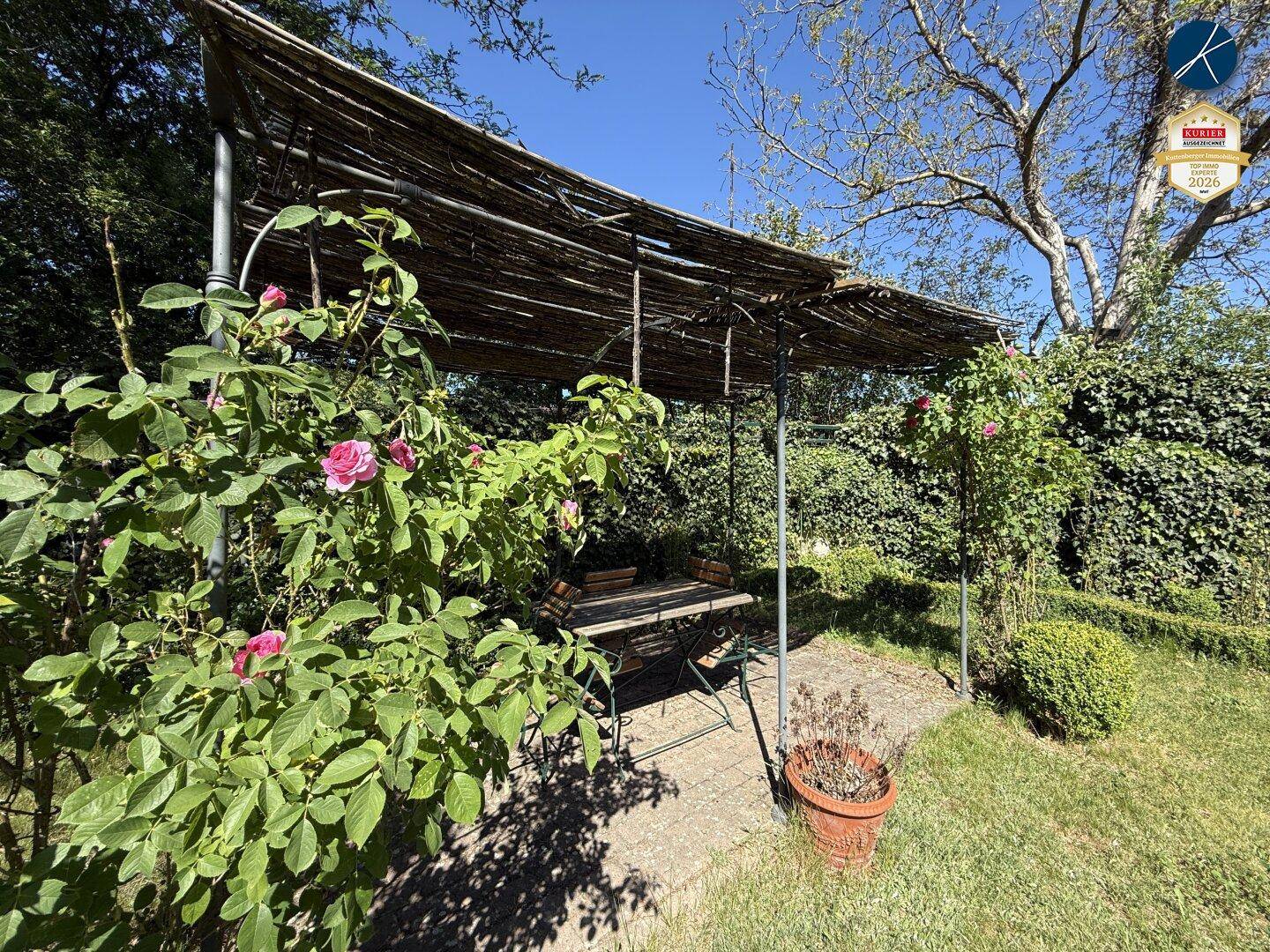 Gemütlicher Sitzbereich im Garten unter einer Pergola, umgeben von Rosenbüschen und Grünpflanzen.