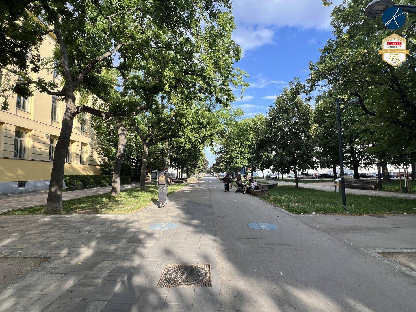 Breiter Fußgängerweg mit vielen Bäumen und Gebäuden im Hintergrund an einem sonnigen Tag.