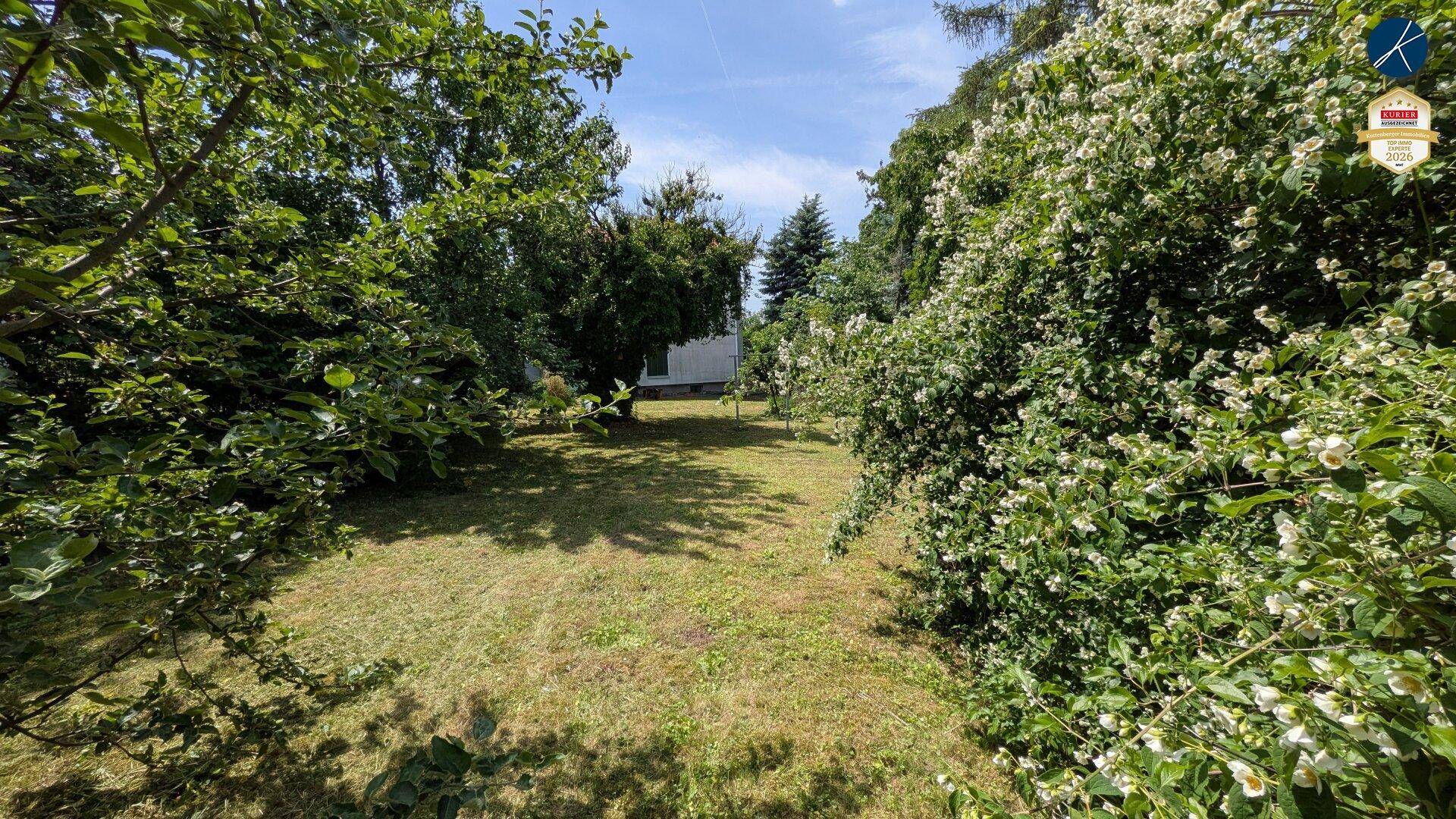 Idyllischer Gartenweg umgeben von üppigem Grün und blühenden Sträuchern an einem sonnigen Tag.