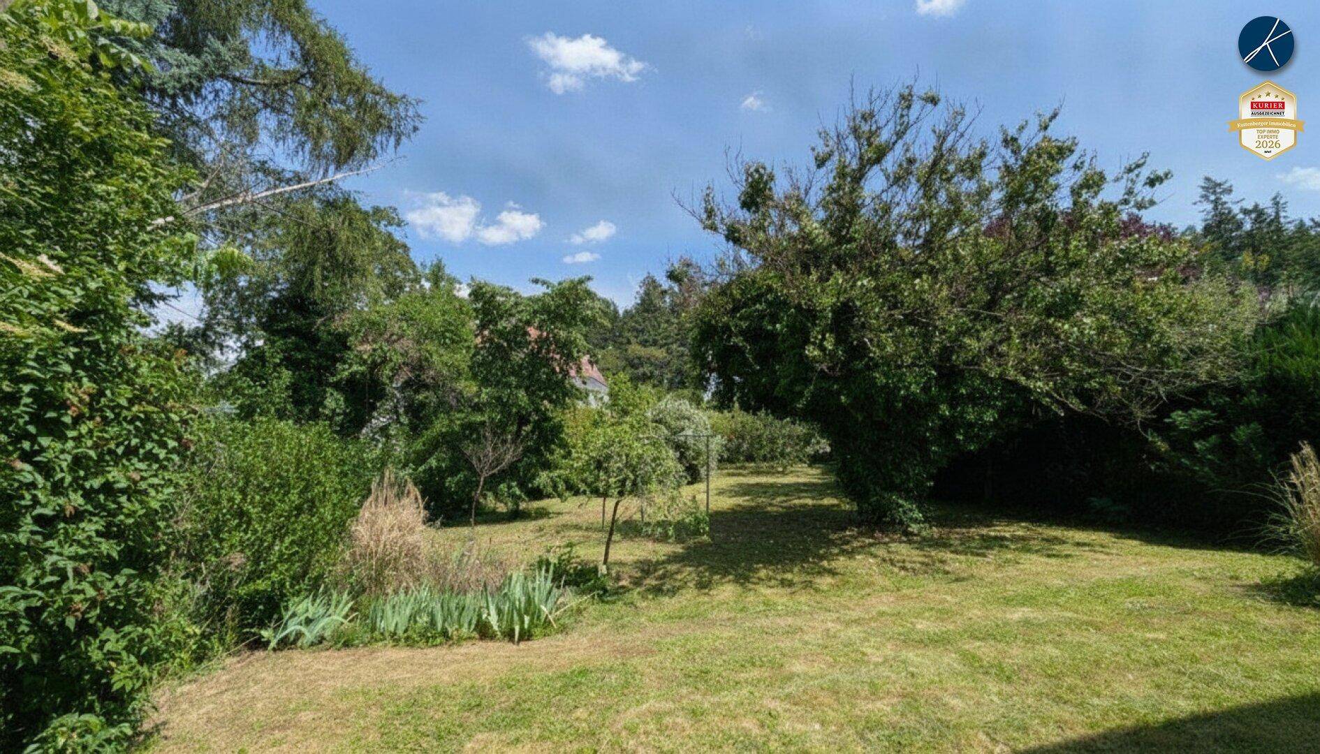 Weitläufiger Gartenbereich mit altem Baumbestand und gepflegtem Rasen unter blauem Himmel.