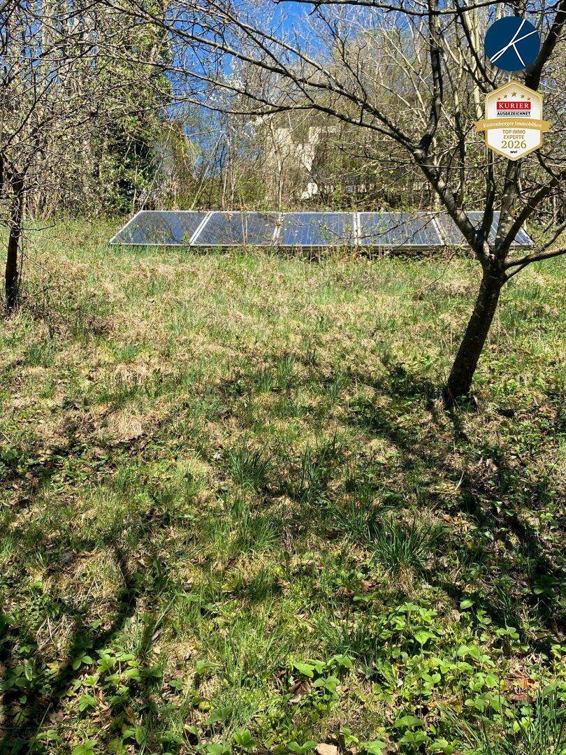 Grüne Wiese mit Photovoltaikanlage und Bäumen unter blauem Himmel.