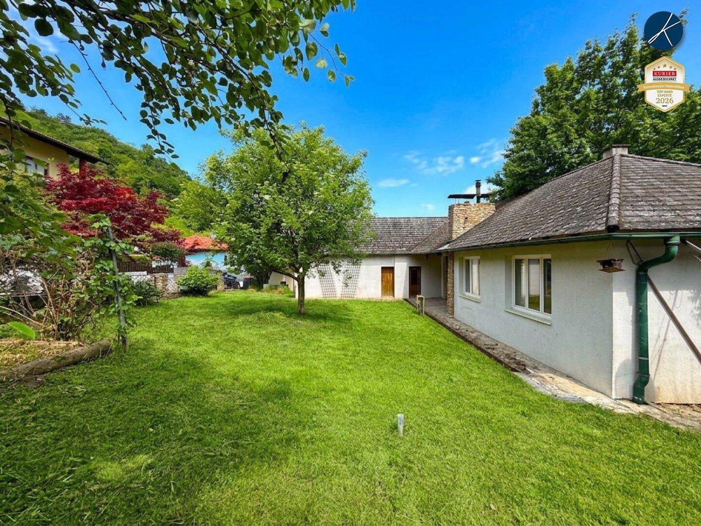 Gepflegter Rasenbereich neben dem Haus mit Bäumen und sonniger Atmosphäre.