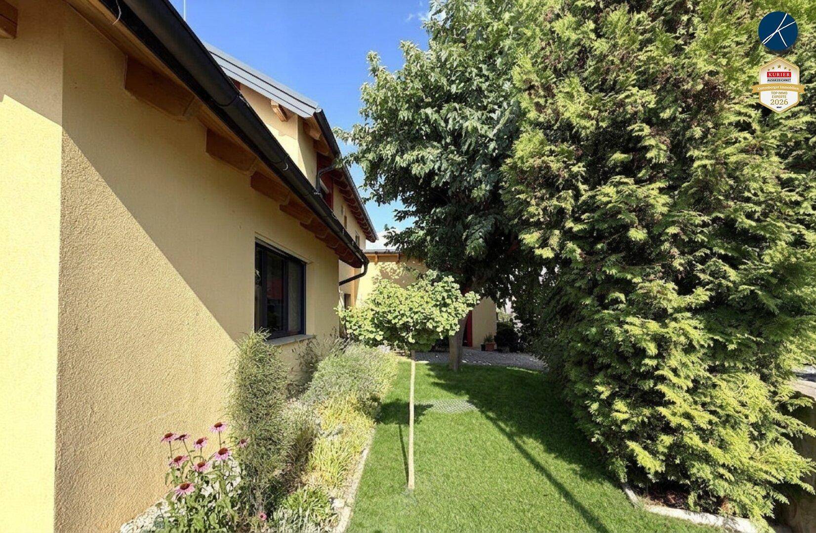 Seitenansicht des Hauses mit einem schmalen Gartenweg und hohen, dichten Bäumen.
