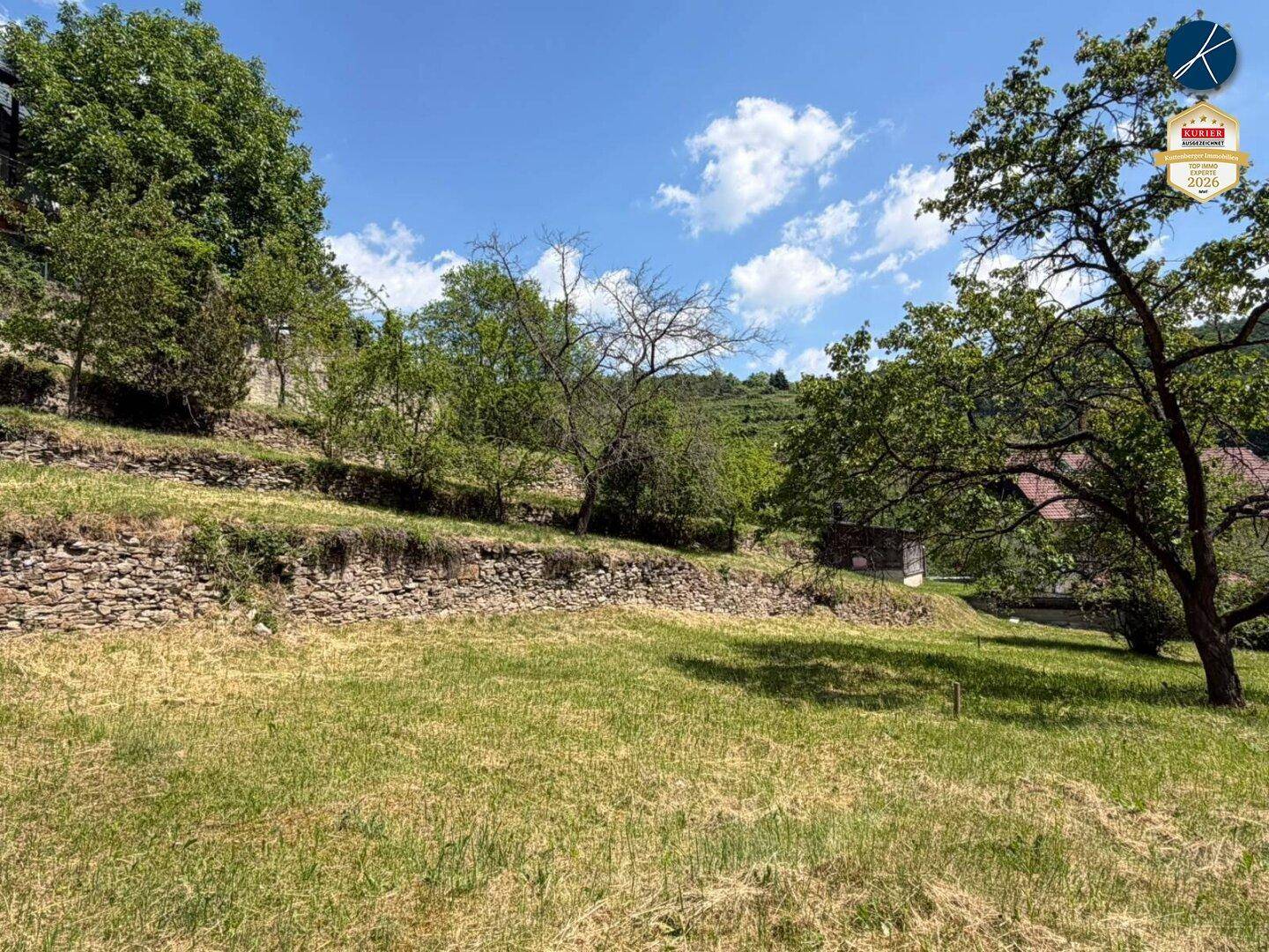 Weitläufiges grünes Grundstück mit Bäumen, Steinmauern und Blick auf die umliegende Natur.