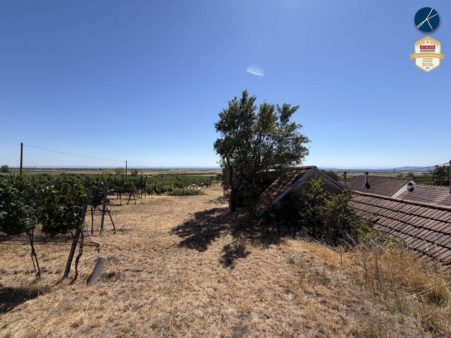 Blick über einen Weinberg mit ländlicher Landschaft und alten Gebäuden im Hintergrund.