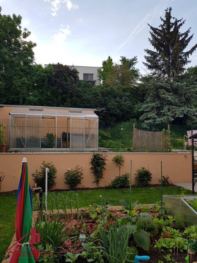 Gepflegter Gartenbereich mit einem Gewächshaus und vielfältigen Pflanzen, umgeben von Bäumen.