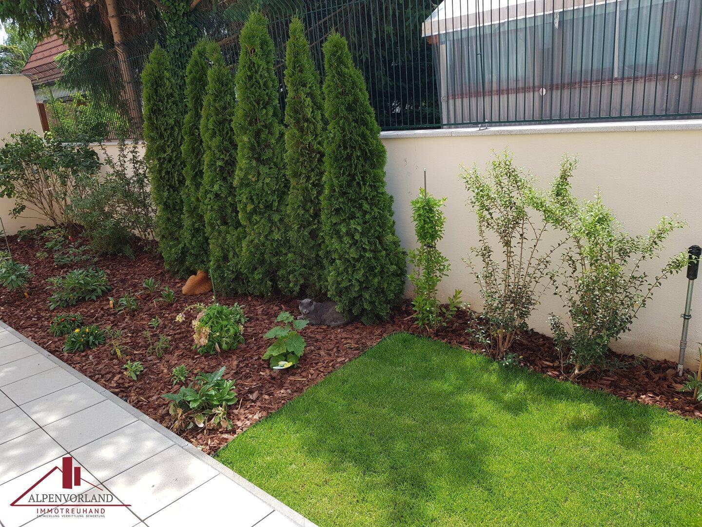 Ordentlich angelegter Gartenweg mit einer Reihe von hohen Zypressen und gepflegten Blumenbeeten.