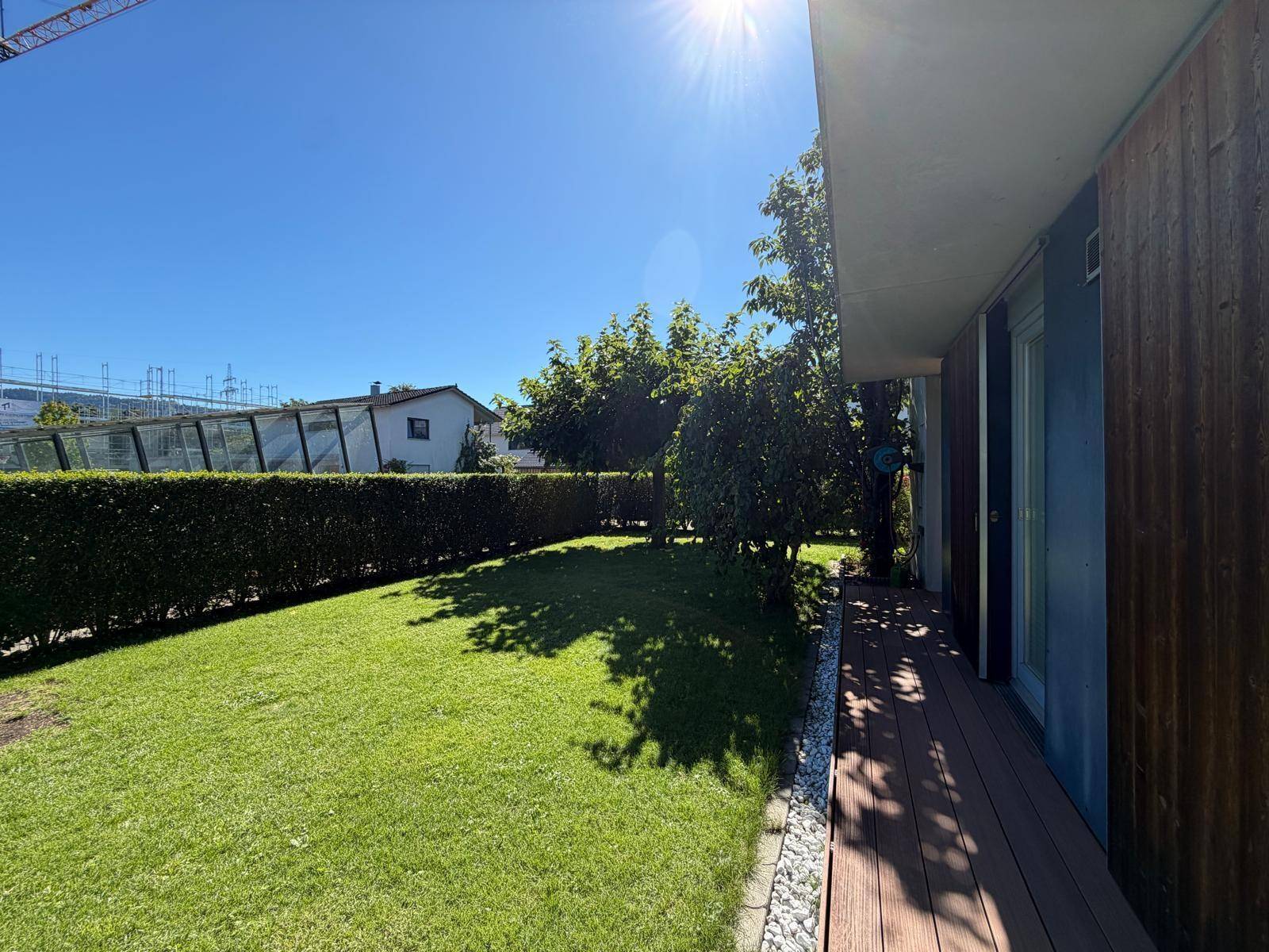 Sonniger Gartenbereich mit Rasenfläche, hohen Hecken und Bäumen neben dem Gebäude.