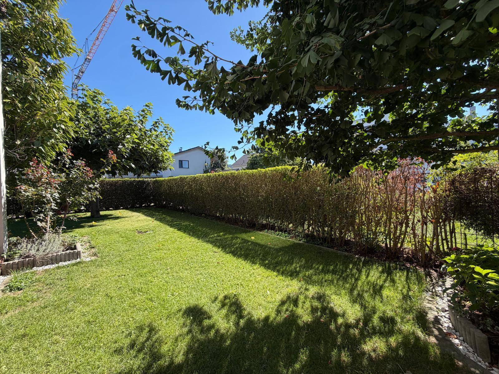 Weitläufiger Garten mit gepflegtem Rasen und dichter Hecke, ideal zum Entspannen.