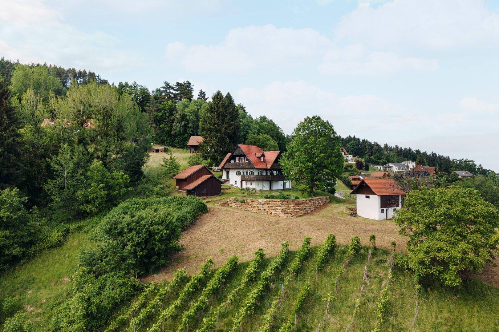 Luftaufnahme des Anwesens mit Weinbergen im Vordergrund und weitem Blick über die grüne Hügellandschaft.