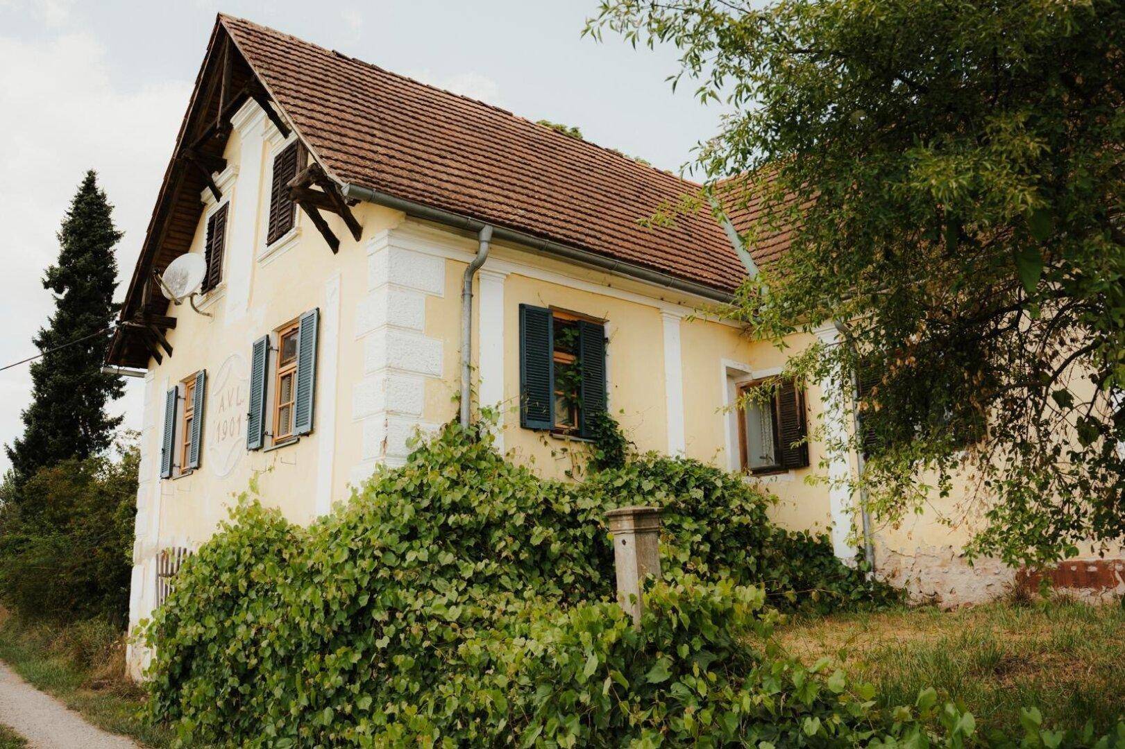Seitenansicht eines historischen Gebäudes mit grünen Fensterläden und Kletterpflanzen.