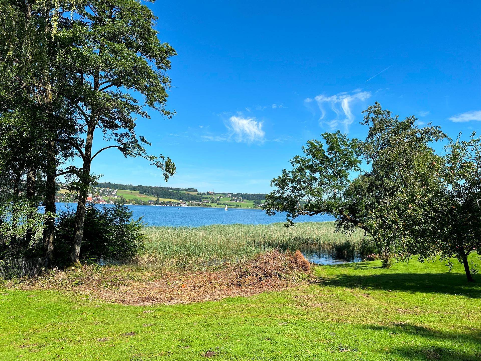 Großer Gartenbereich mit Rasen und Bäumen, der einen weiten Blick auf den See freigibt.