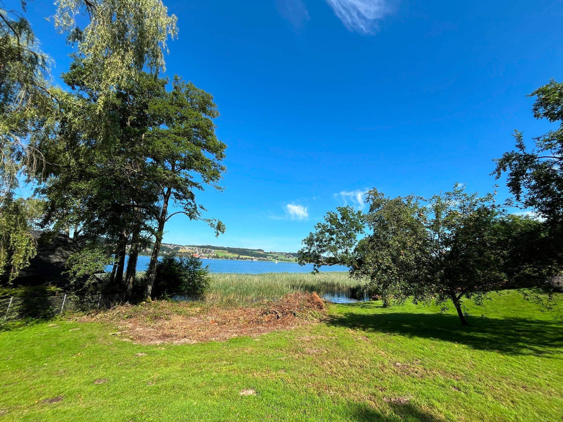 Sonnige Gartenfläche mit Bäumen und einem weiten Blick über den See und die umliegende Landschaft.