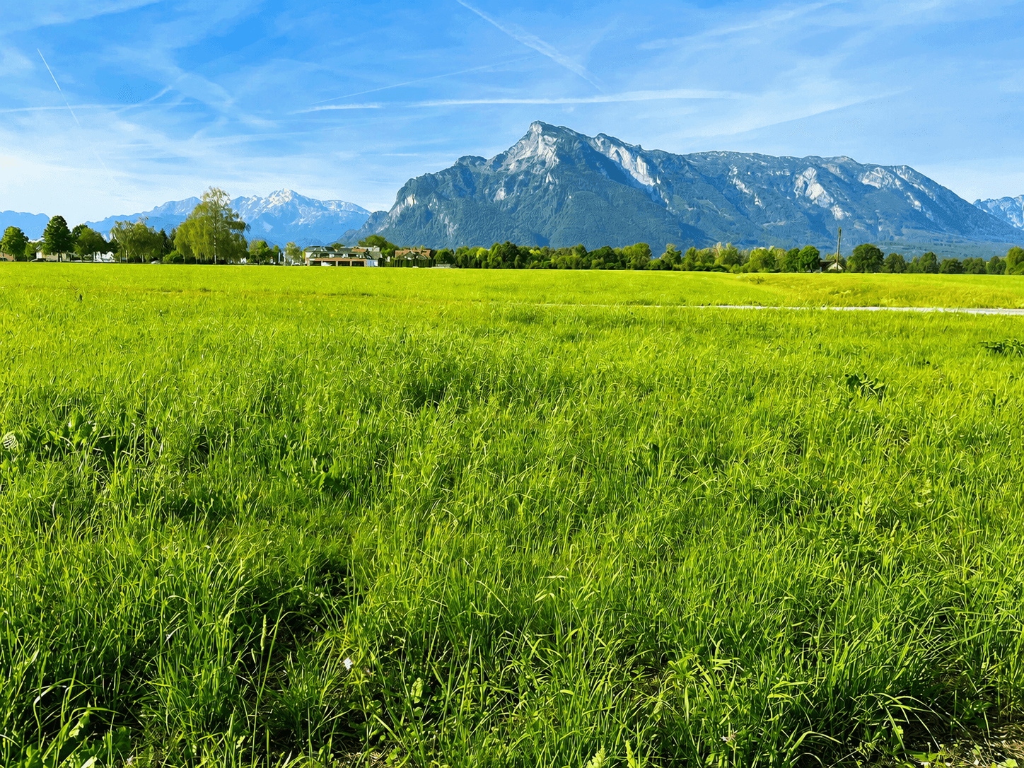 Weitläufige grüne Wiesenlandschaft mit majestätischem Bergblick unter blauem Himmel.
