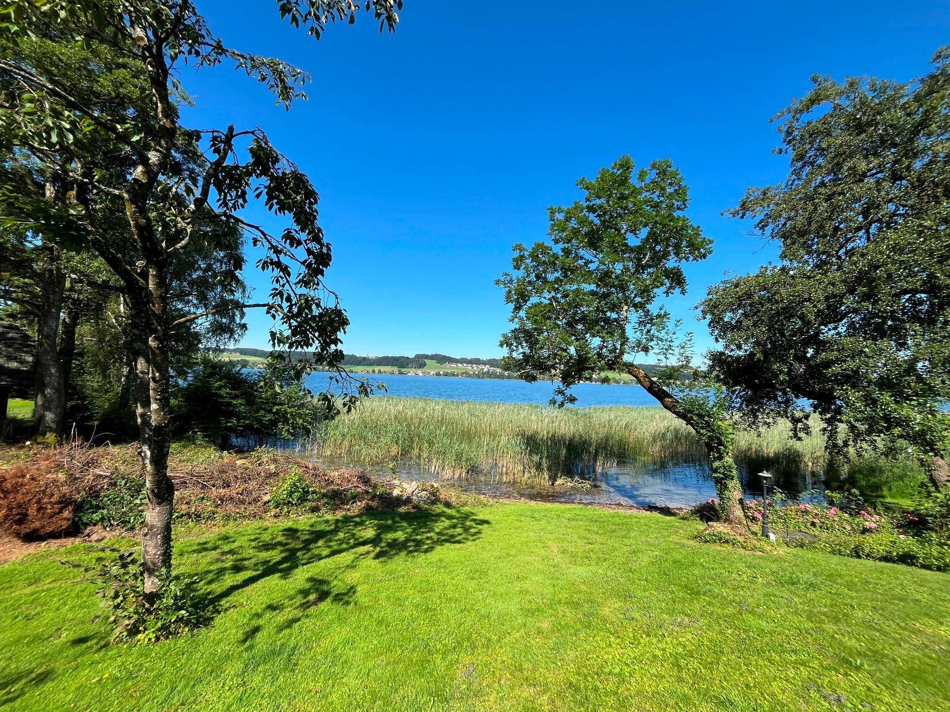 Grüner Gartenbereich mit Bäumen und einem malerischen Blick auf den See und das Schilfufer.