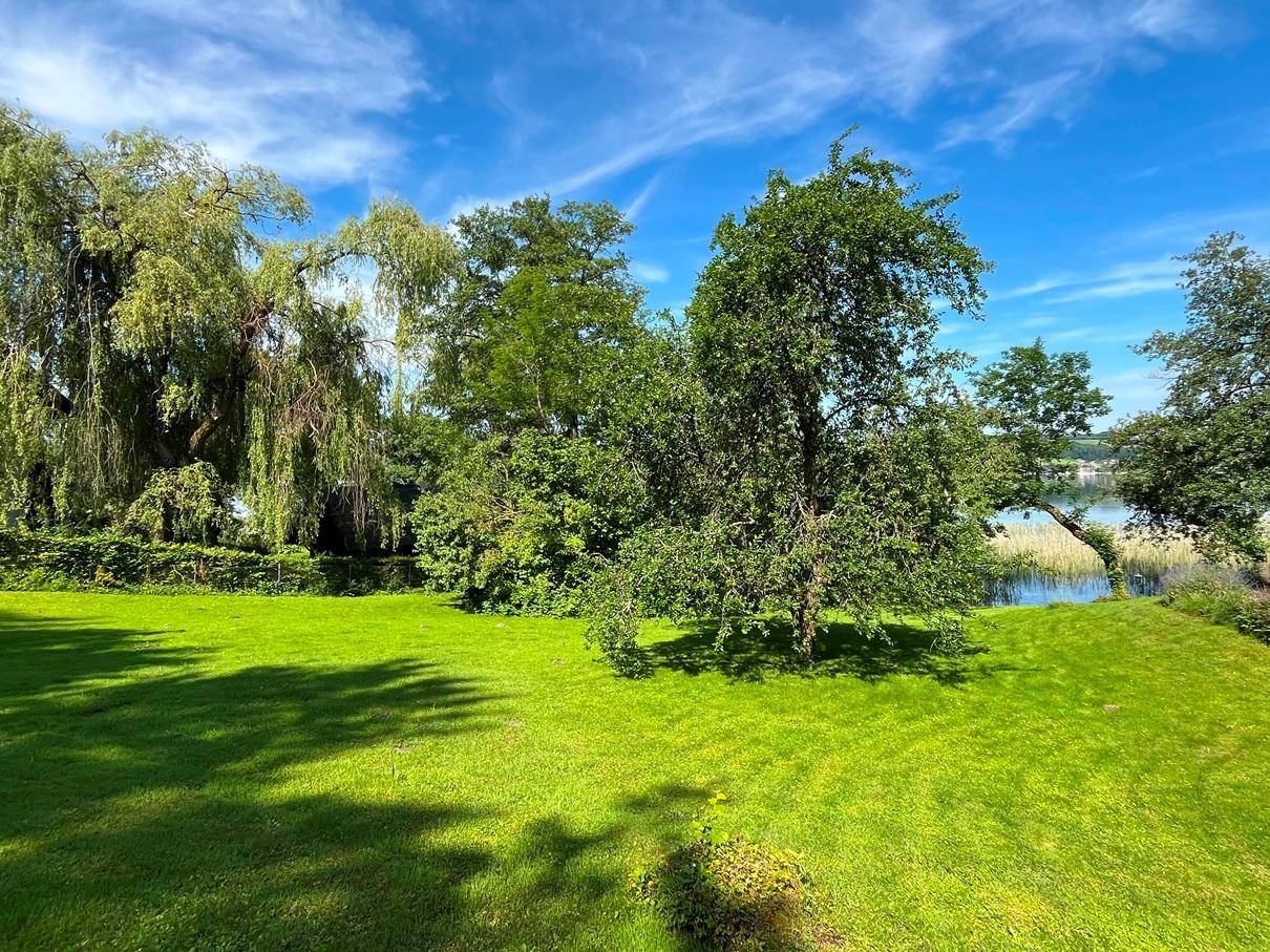 Weitläufiger grüner Rasenbereich mit Schatten spendenden Bäumen und Blick auf einen See im Hintergrund.