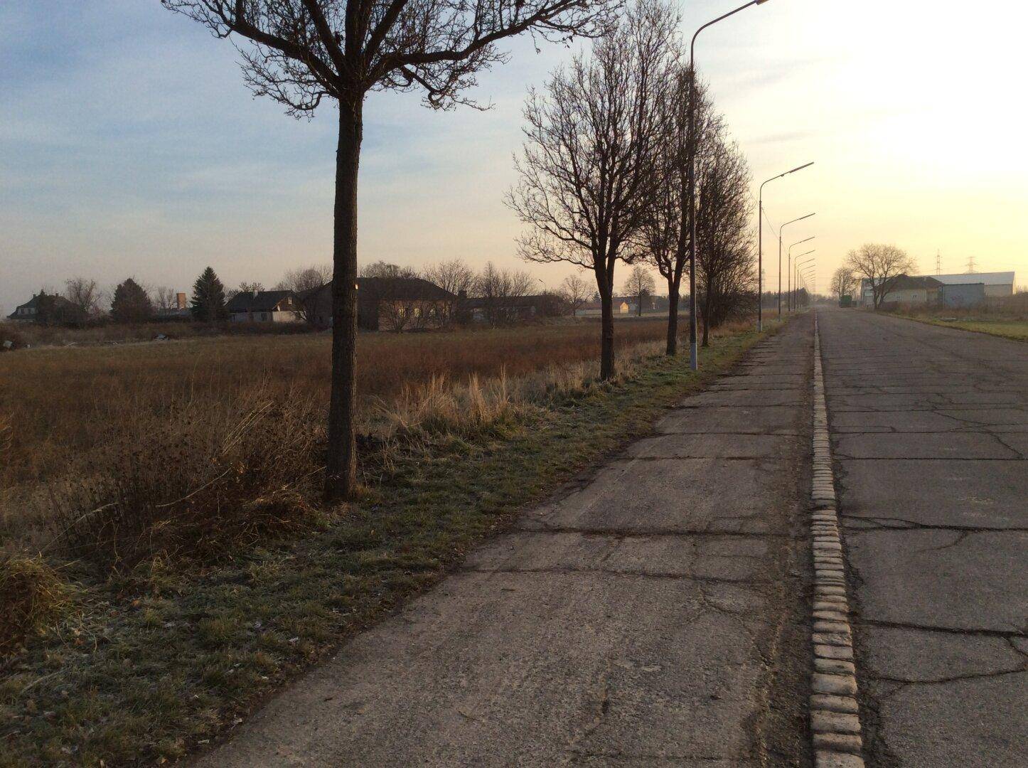 Lange, rissige Asphaltstraße mit kahlen Bäumen und Straßenlaternen, umgeben von Feldern.