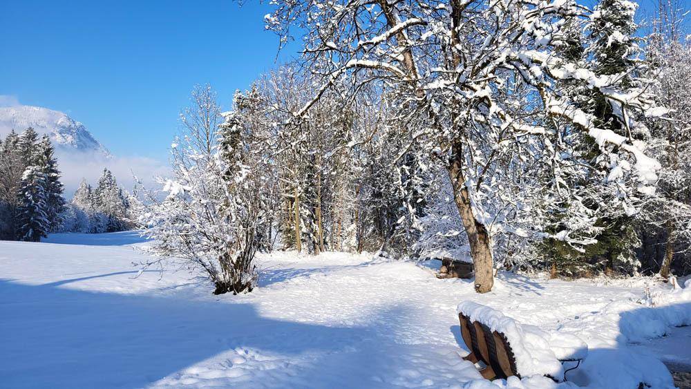 Garten in absoluter Ruhelage