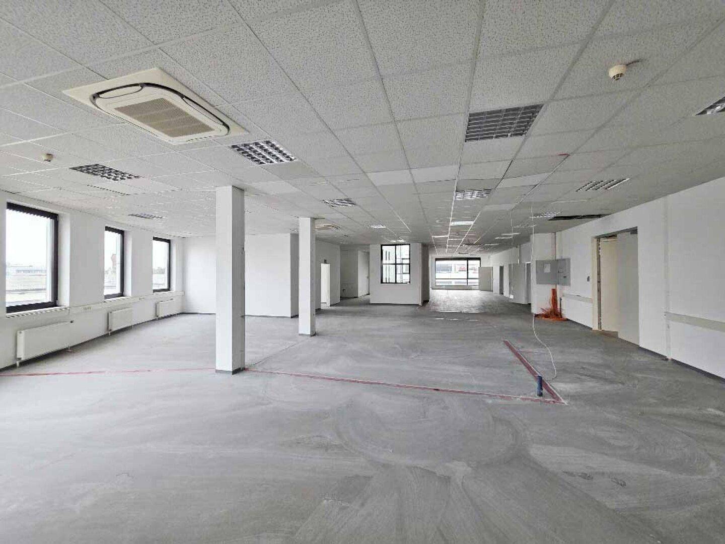 Großes, offenes Büro mit abgehängter Decke, Säulen und vielen Fenstern für Tageslicht.