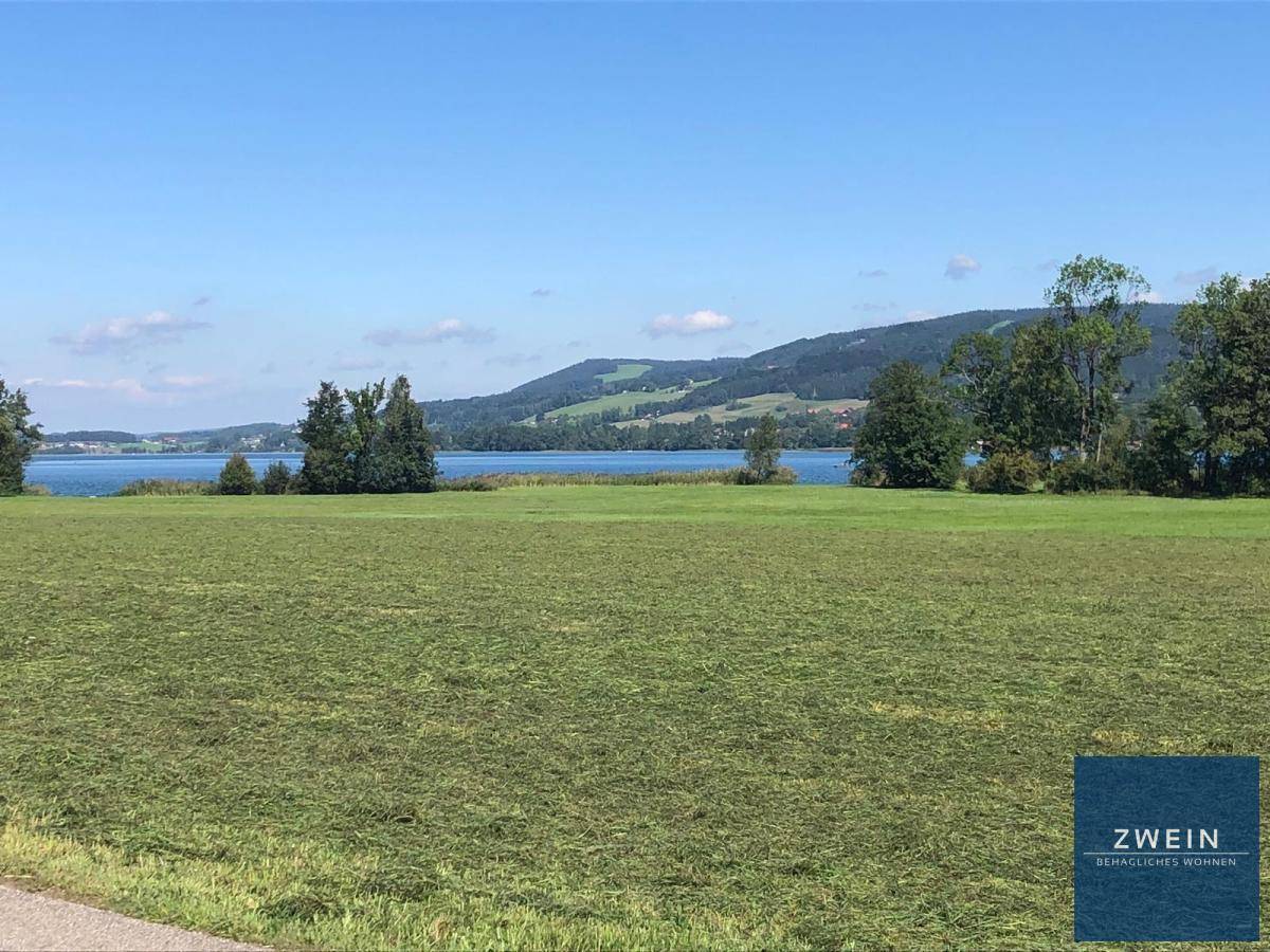 Weitläufige grüne Landschaft mit See und Bergen im Hintergrund unter blauem Himmel.