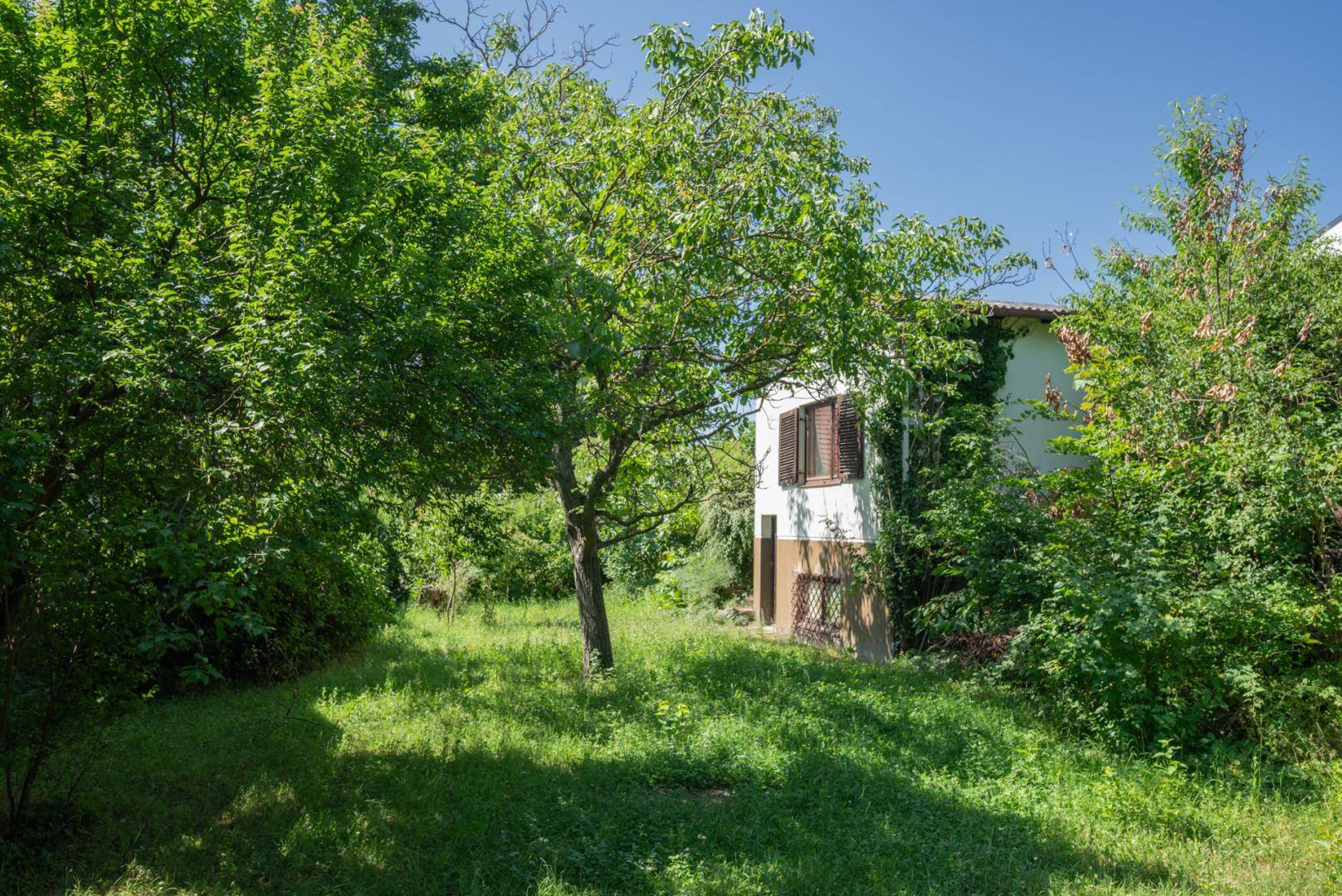 Haus - Garten