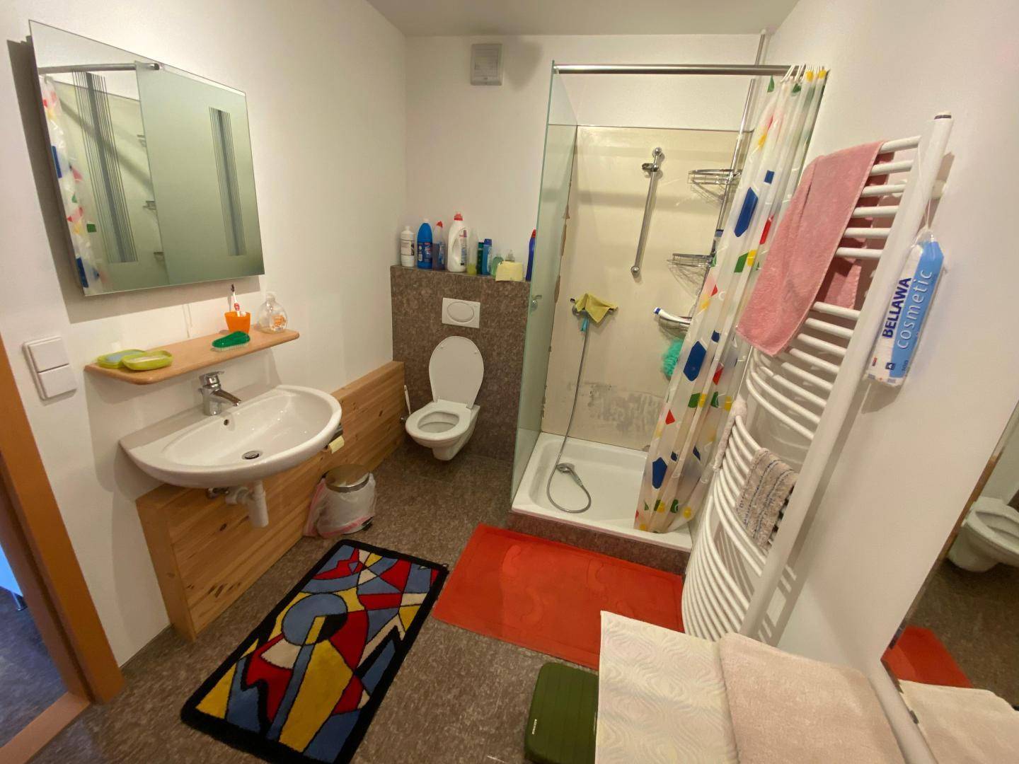 Funktionales Badezimmer mit Dusche, WC und beheiztem Handtuchhalter, praktisch eingerichtet.