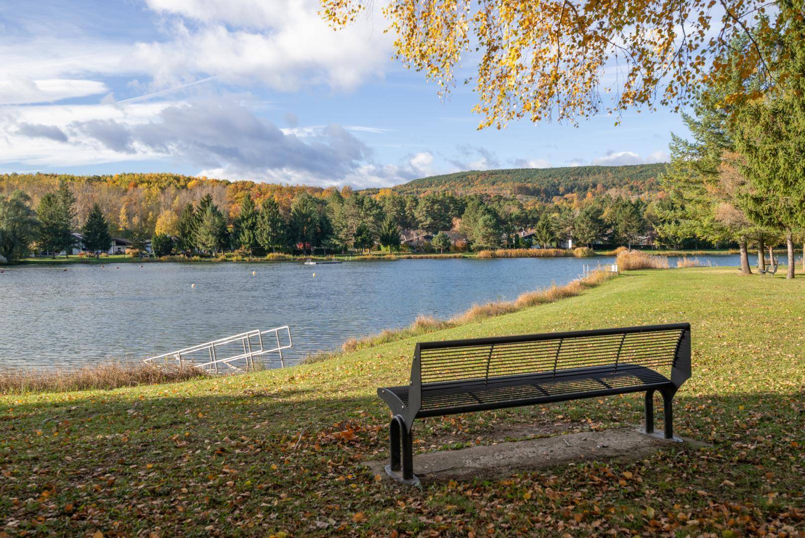 Malerischer See mit umliegenden Wäldern und einer Bank am Ufer an einem sonnigen Herbsttag.