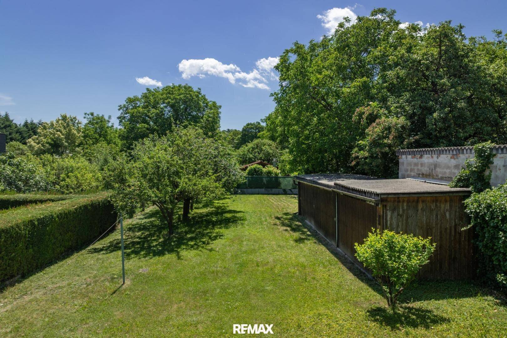 Weitläufiger, sonniger Garten mit Rasenfläche, Obstbäumen und einem Gartenhaus im Hintergrund.