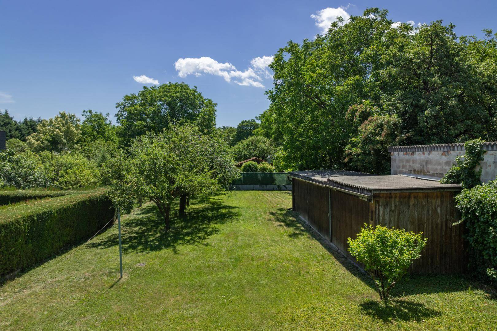 Großer, gepflegter Garten mit Rasenfläche, Obstbäumen und einer hohen Hecke, ideal zum Entspannen.