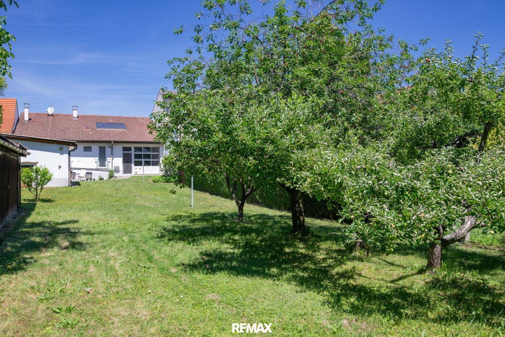 Blick in den hinteren Gartenbereich mit mehreren Obstbäumen und der Rückseite des Hauses.