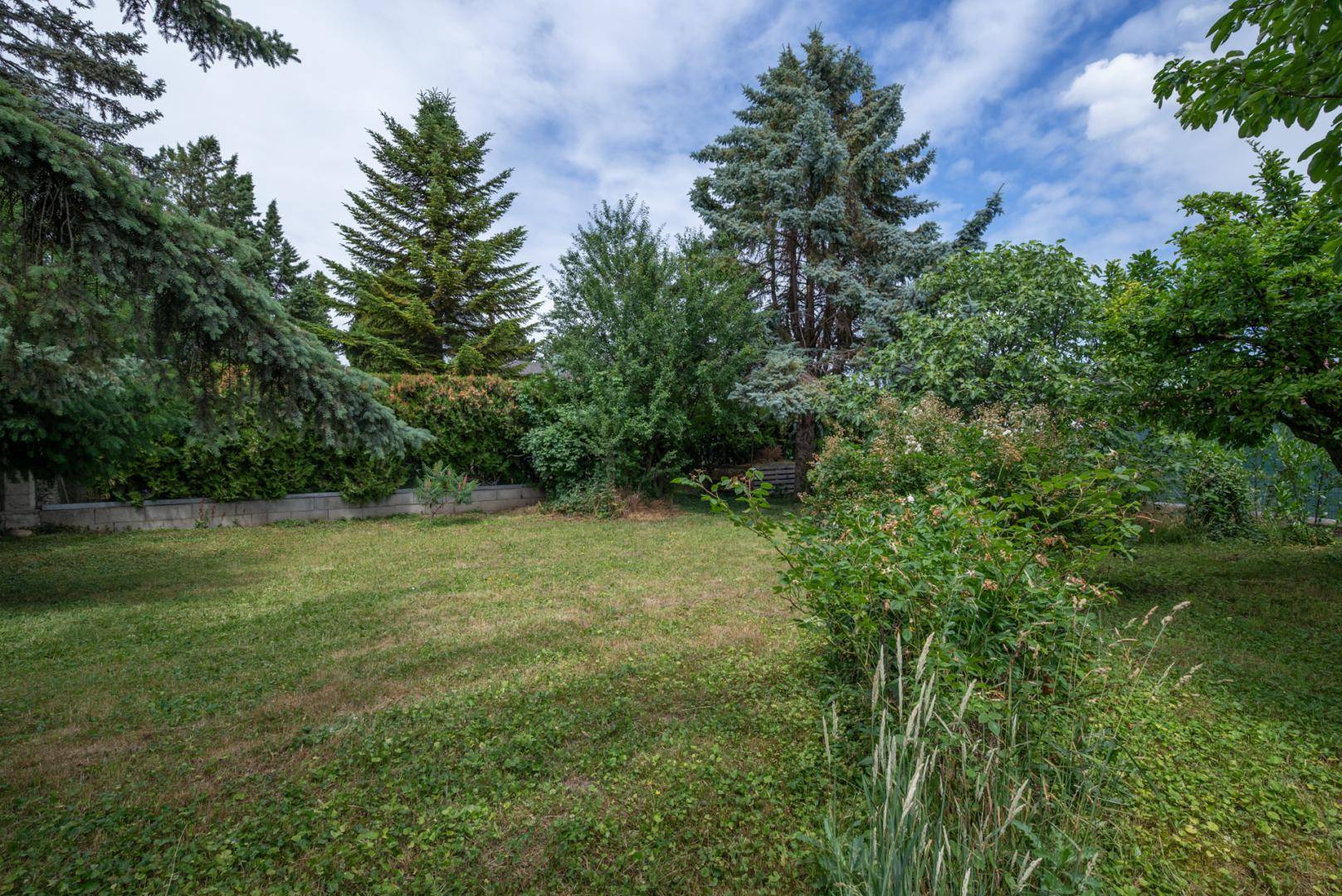 Weitläufiger Garten mit gepflegtem Rasen, umgeben von hohen Bäumen und dichten Büschen.