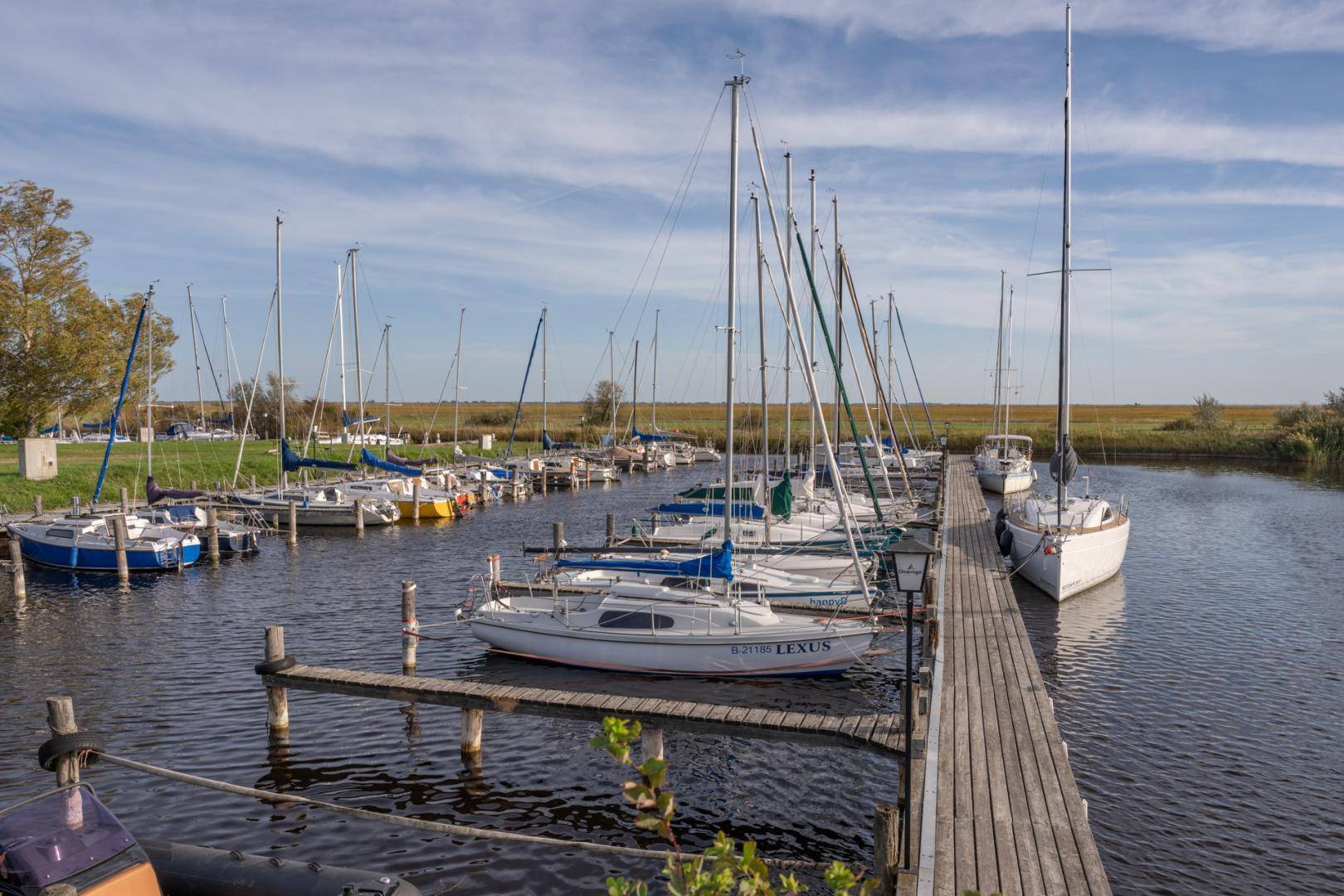 Malerischer Yachthafen mit zahlreichen Segelbooten an Holzstegen, umgeben von grüner Landschaft.