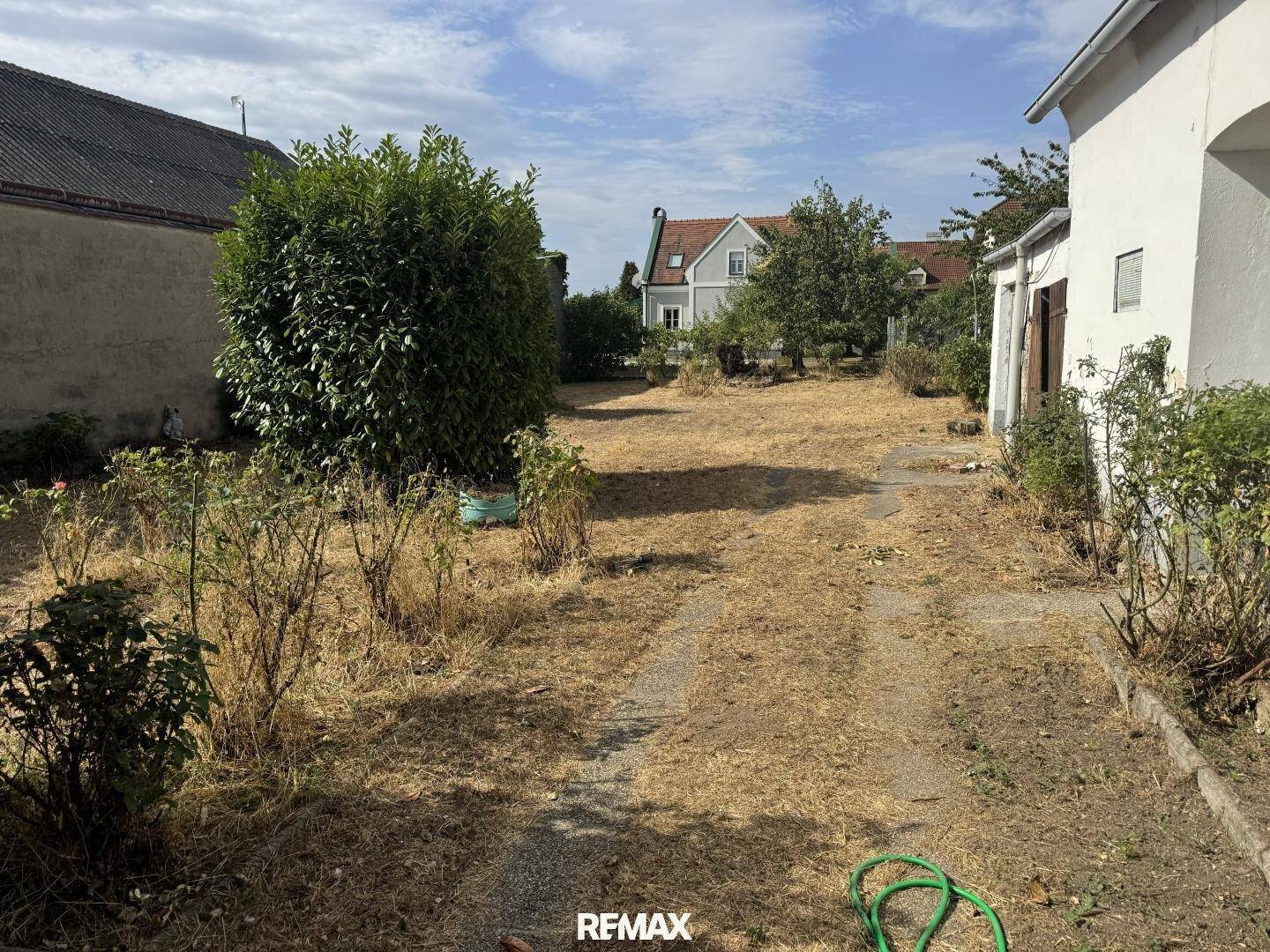 Ungepflegter Gartenbereich hinter dem Haus mit trockenem Gras und einigen Büschen, bereit zur Neugestaltung.