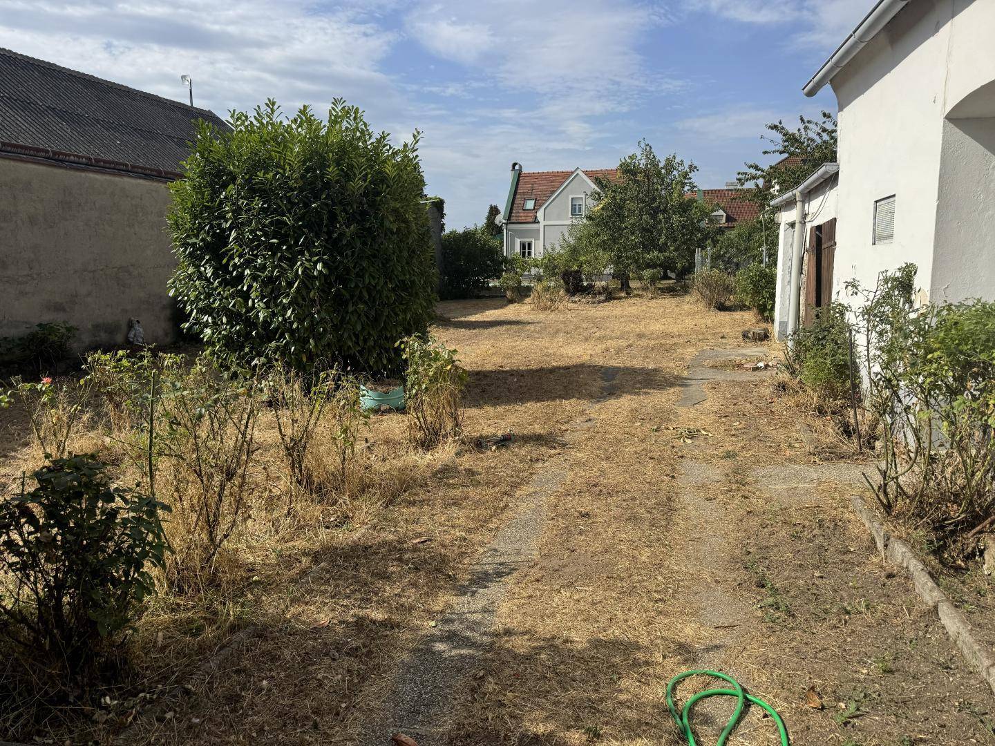 Trockener Gartenbereich mit Büschen und einem Weg, umgeben von weiteren Gebäuden.