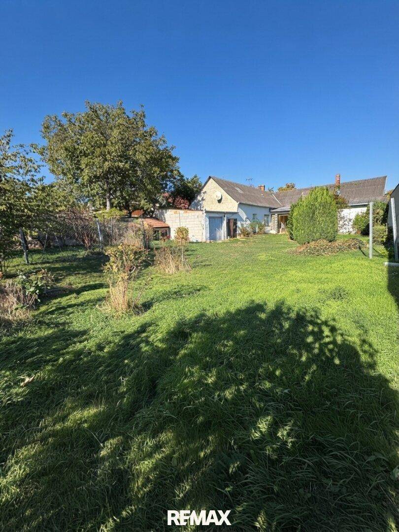 Großer, sonniger Garten mit Rasenfläche und Bäumen hinter dem Haus.