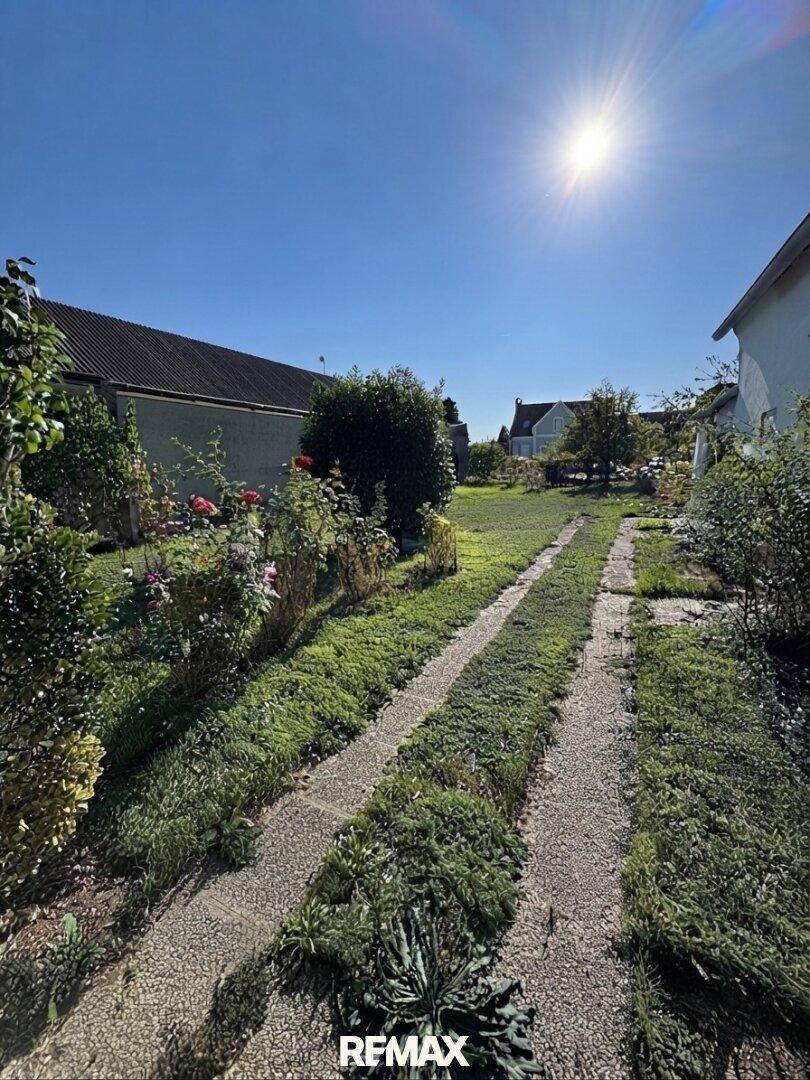 Sonniger Gartenbereich mit einem befestigten Weg und üppiger Vegetation.