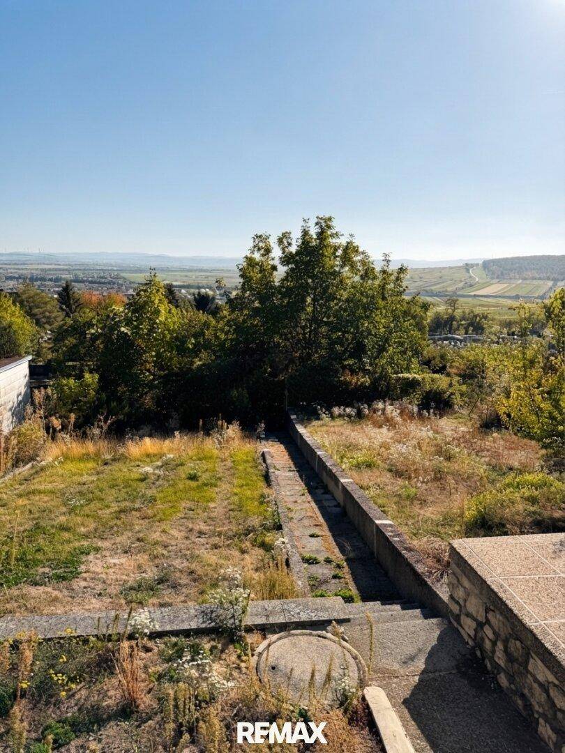 Verwilderter Gartenbereich mit Treppen und einer Stützmauer, der einen weiten Blick in die Natur bietet.