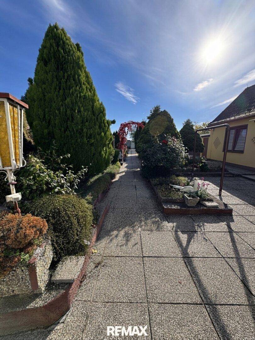 Sonniger Gartenweg mit hohen Nadelbäumen und gepflegten Blumenbeeten, führt durch die Grünanlage.
